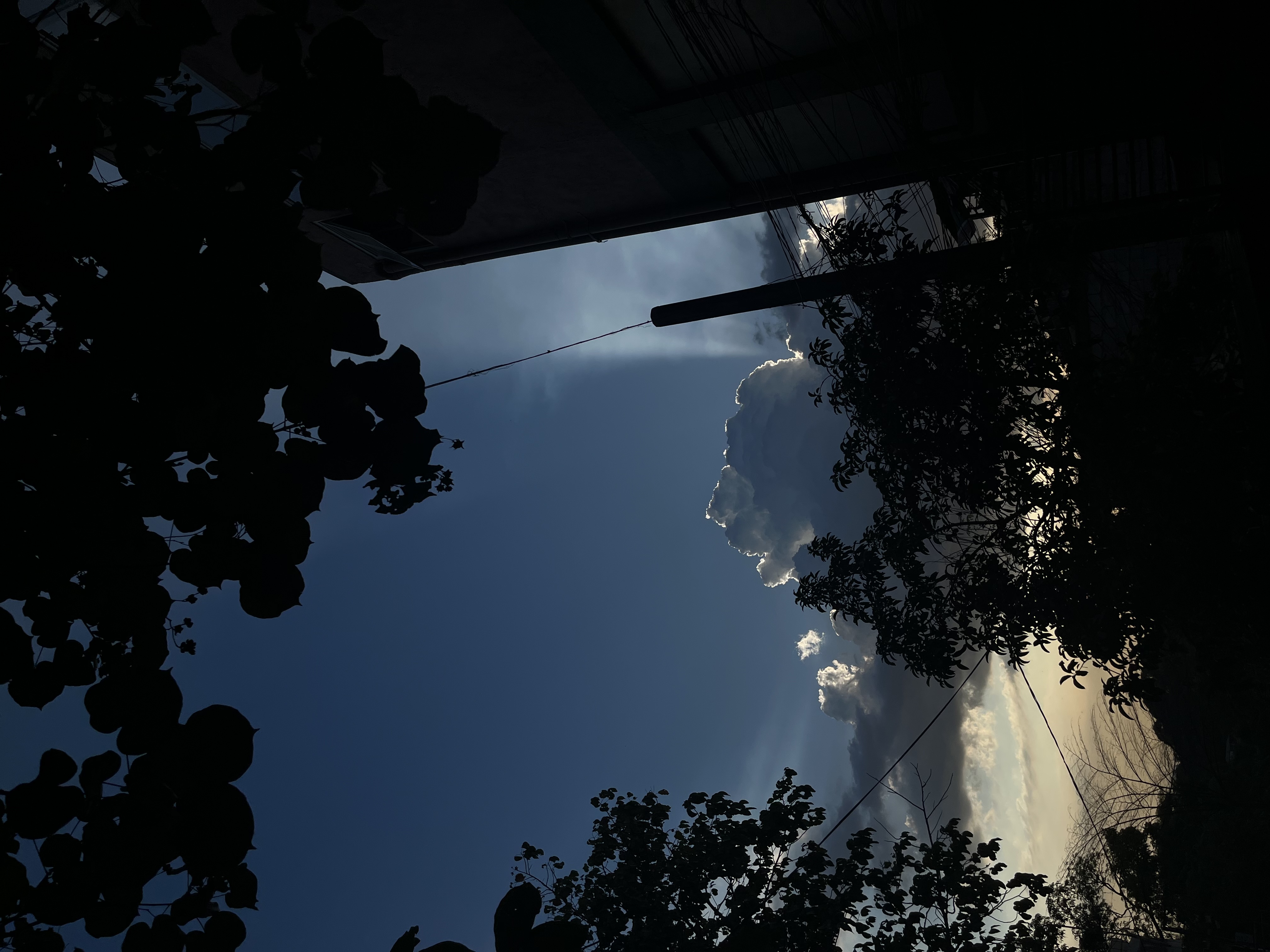 IMG_5534.jpeg