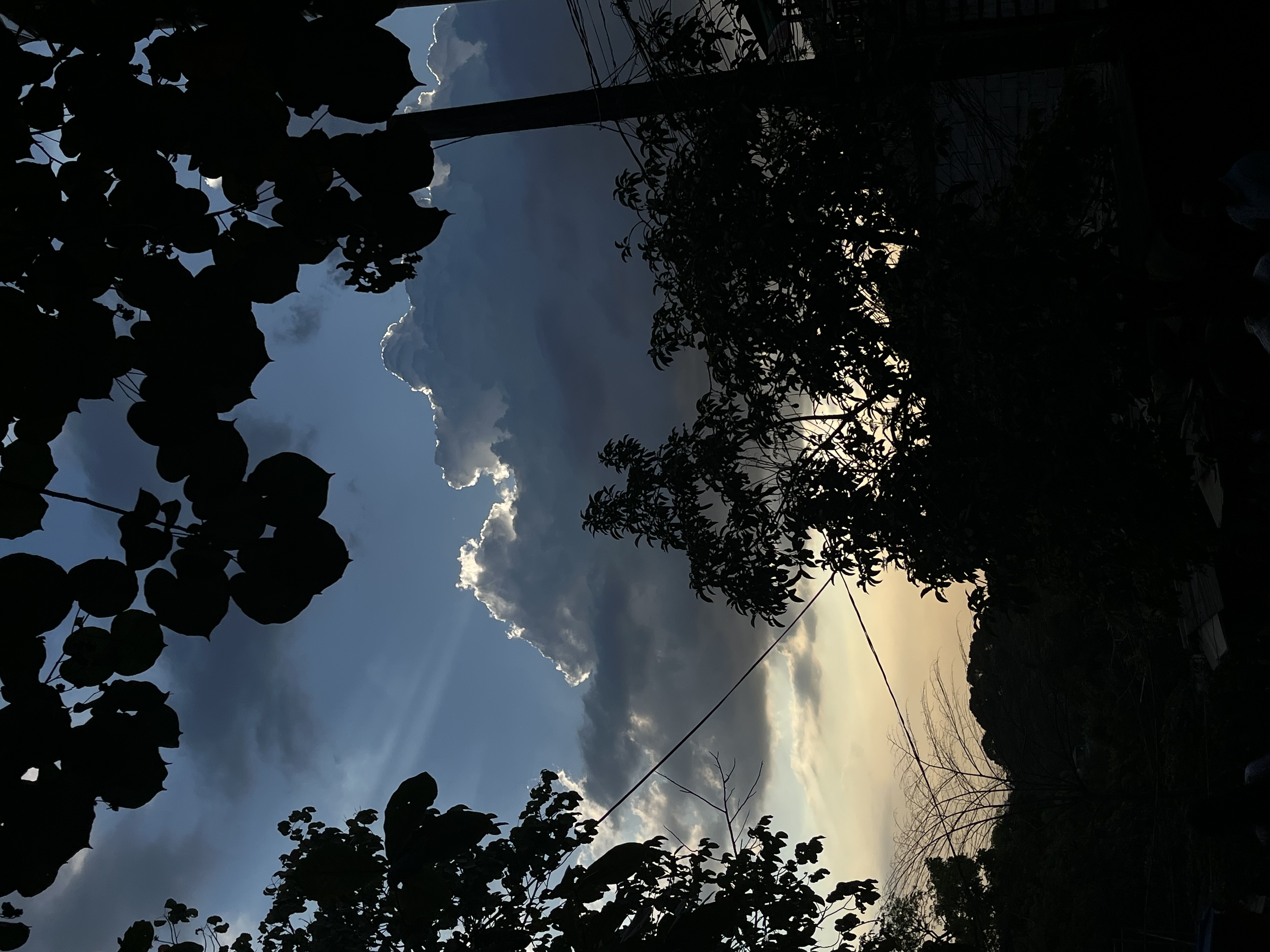 IMG_5526.jpeg