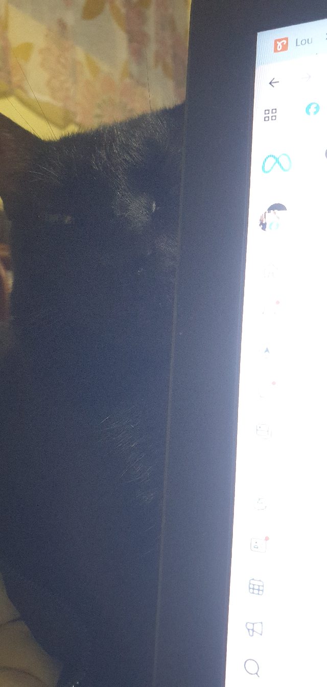 687030673_10163224919182106_1096884080039316800_n.jpg