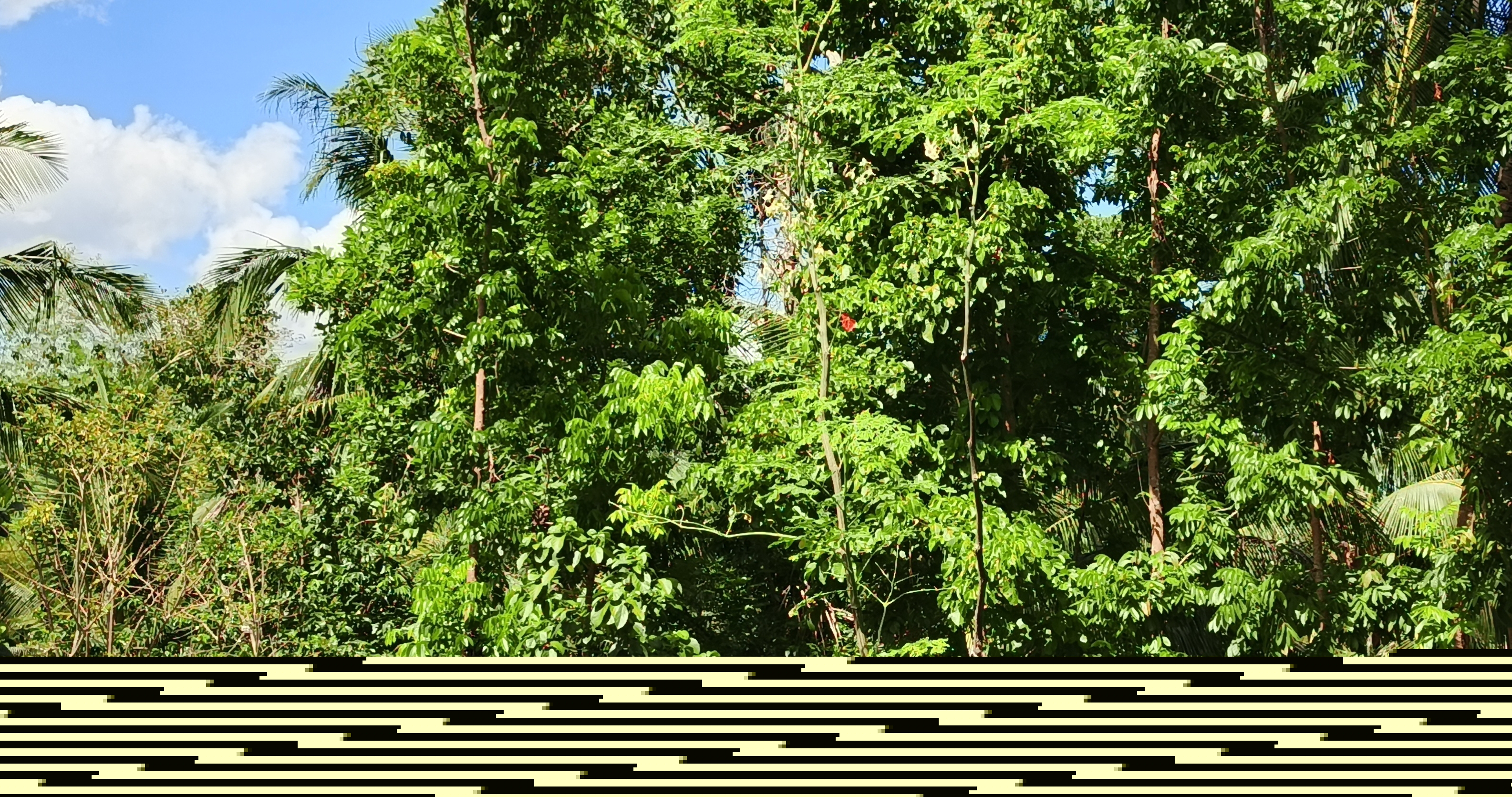 32822.jpg