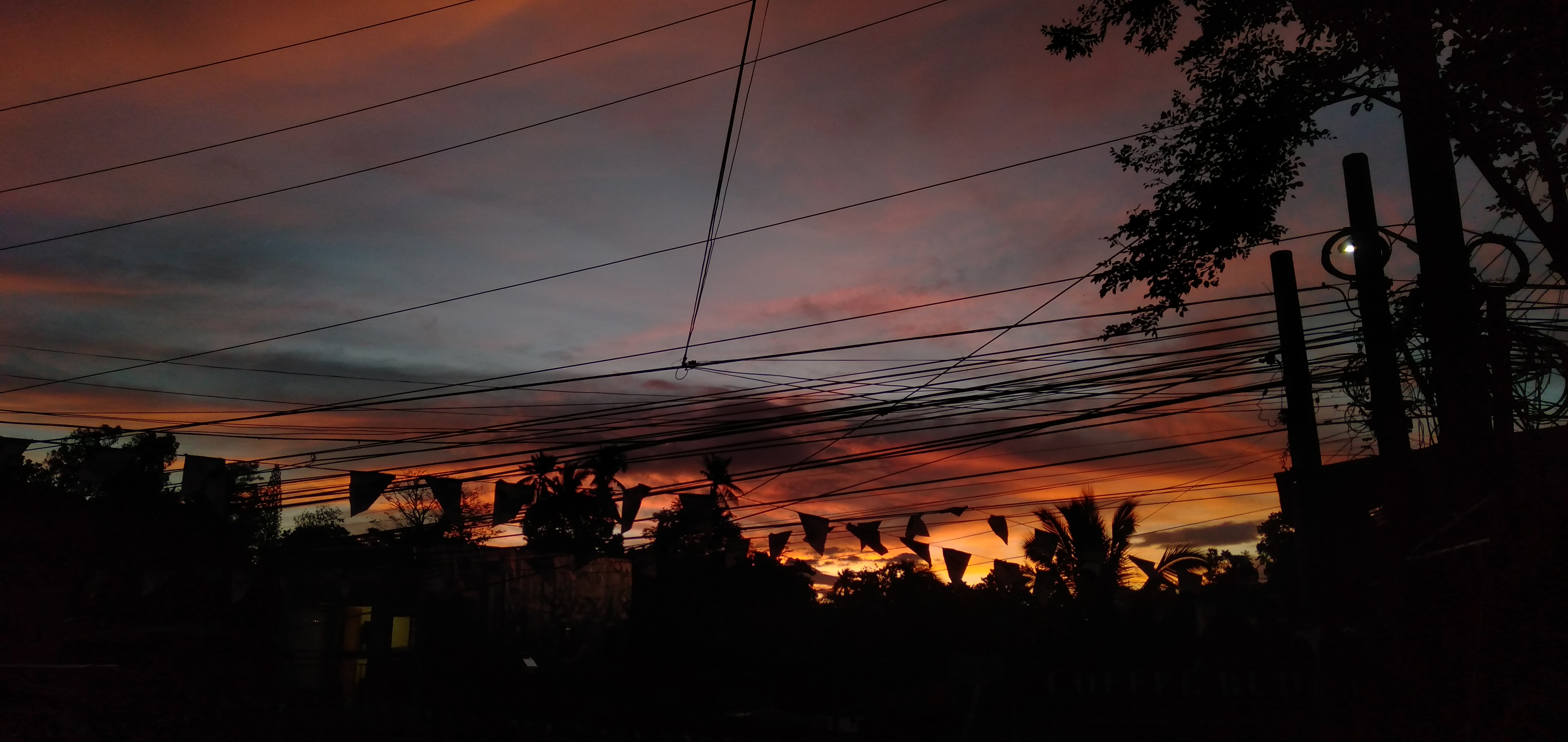 IMG20231017174424.jpg