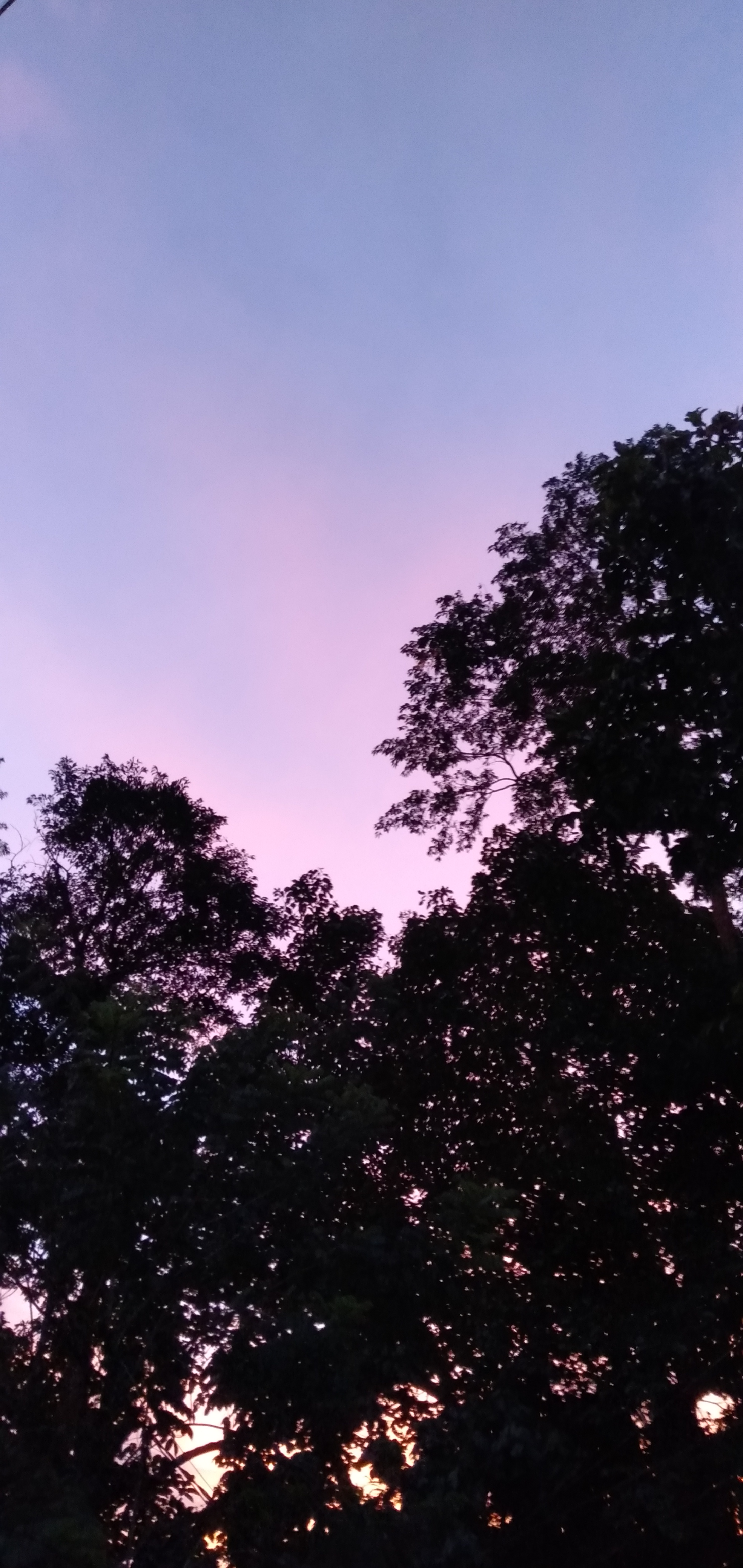 IMG20230829053040.jpg