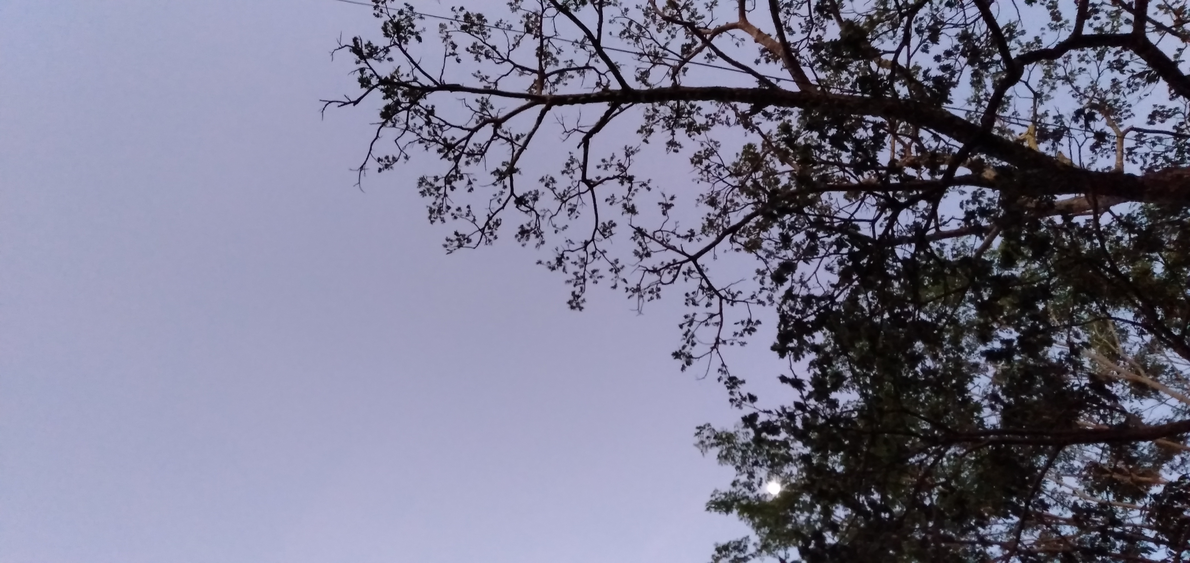 IMG20230501182516.jpg