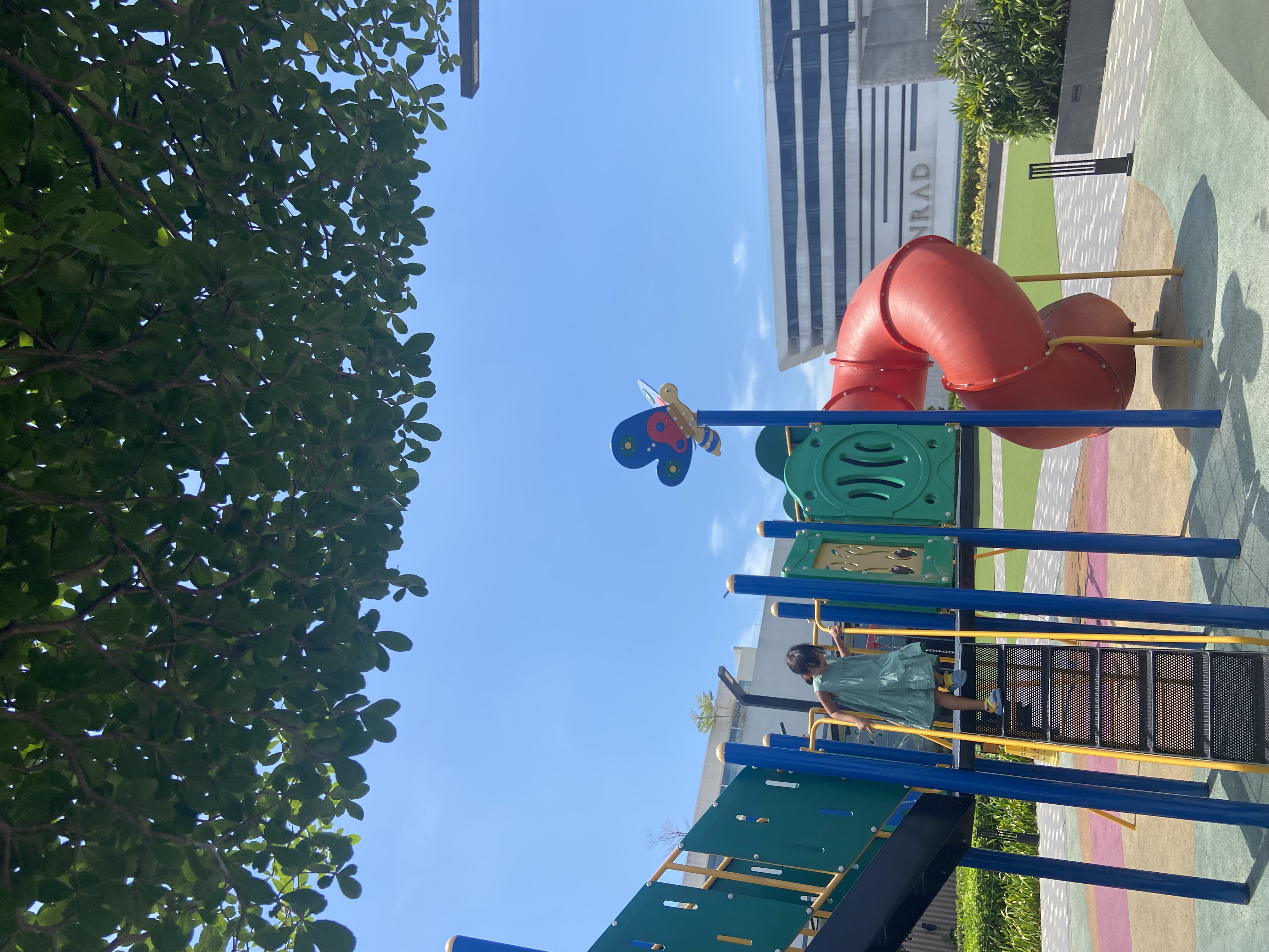 IMG_5340.jpeg