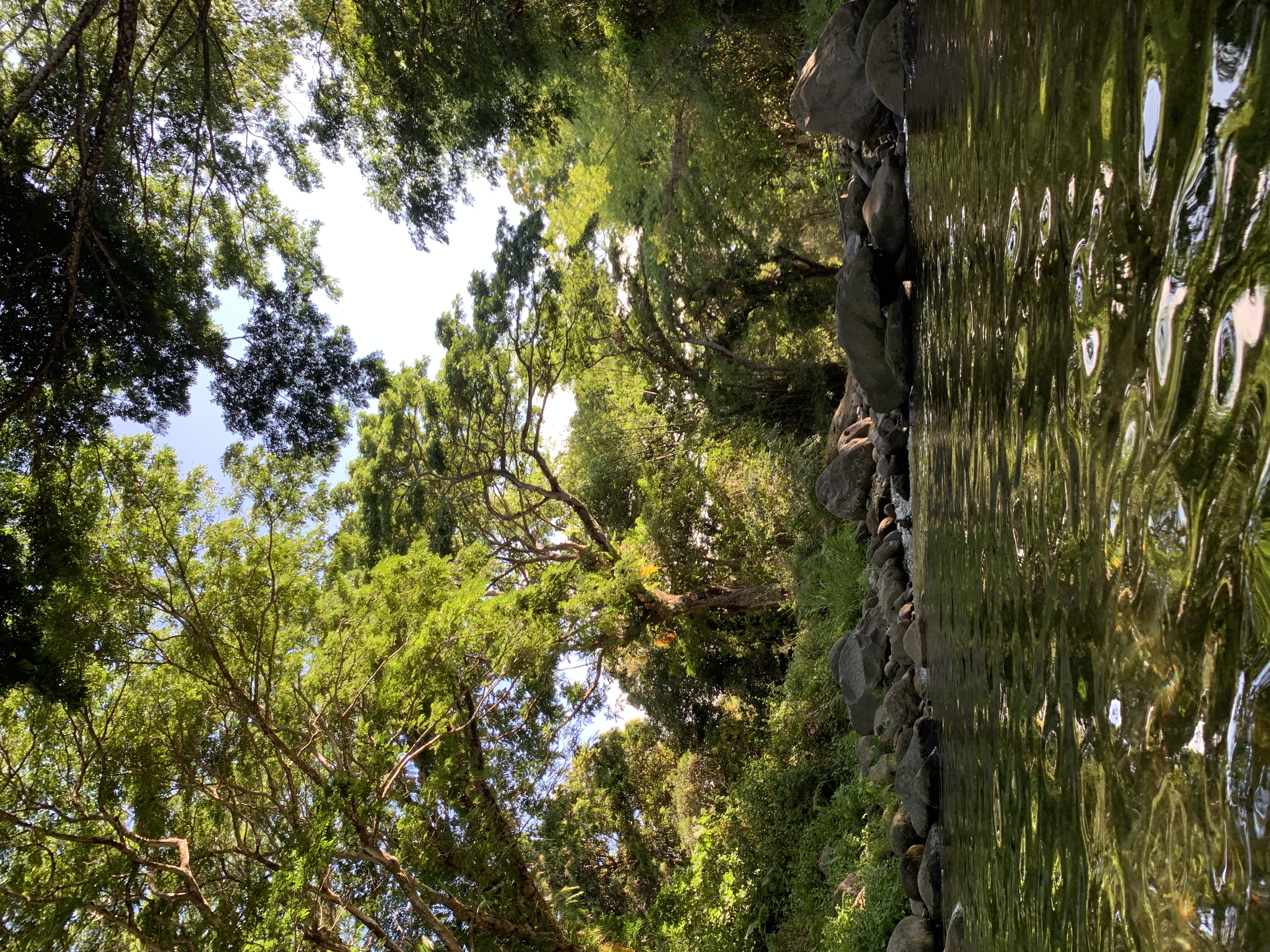 IMG_9723.jpeg