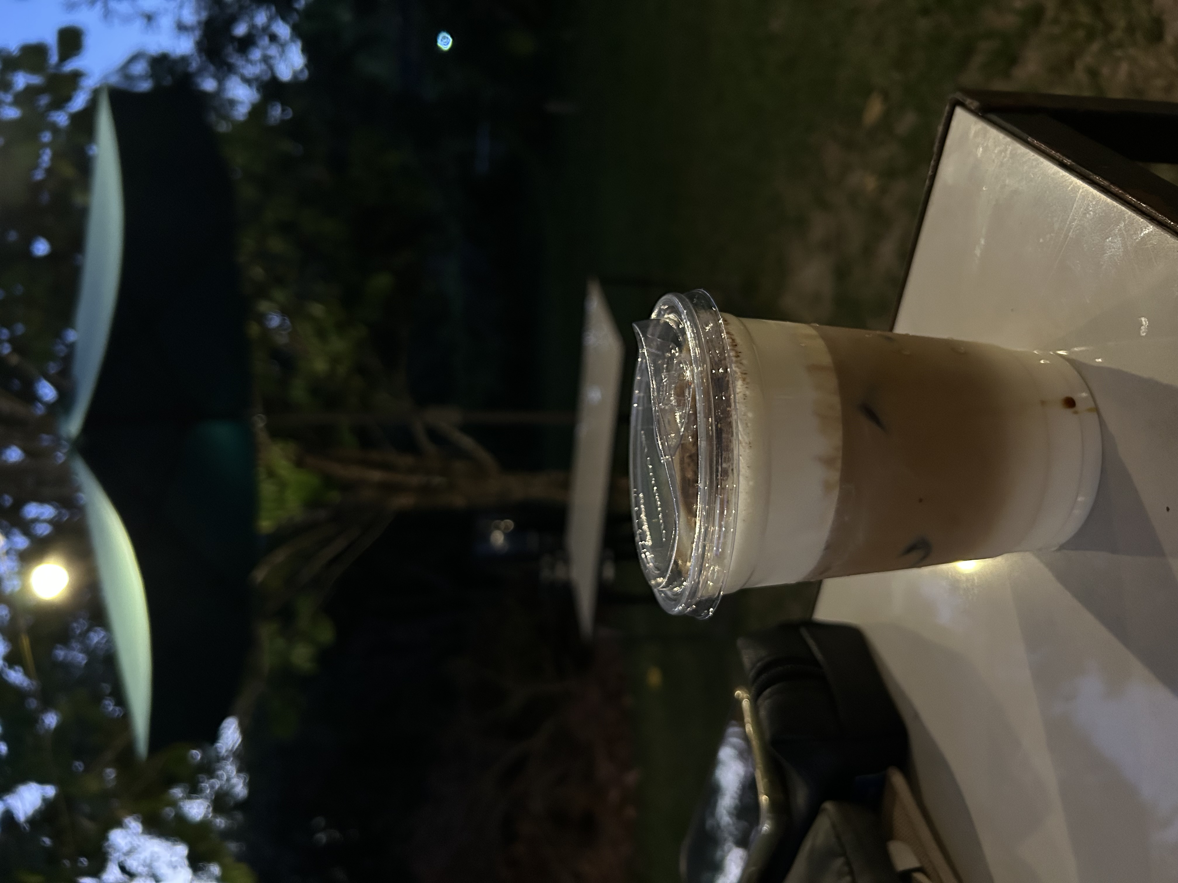 IMG_3970.jpeg