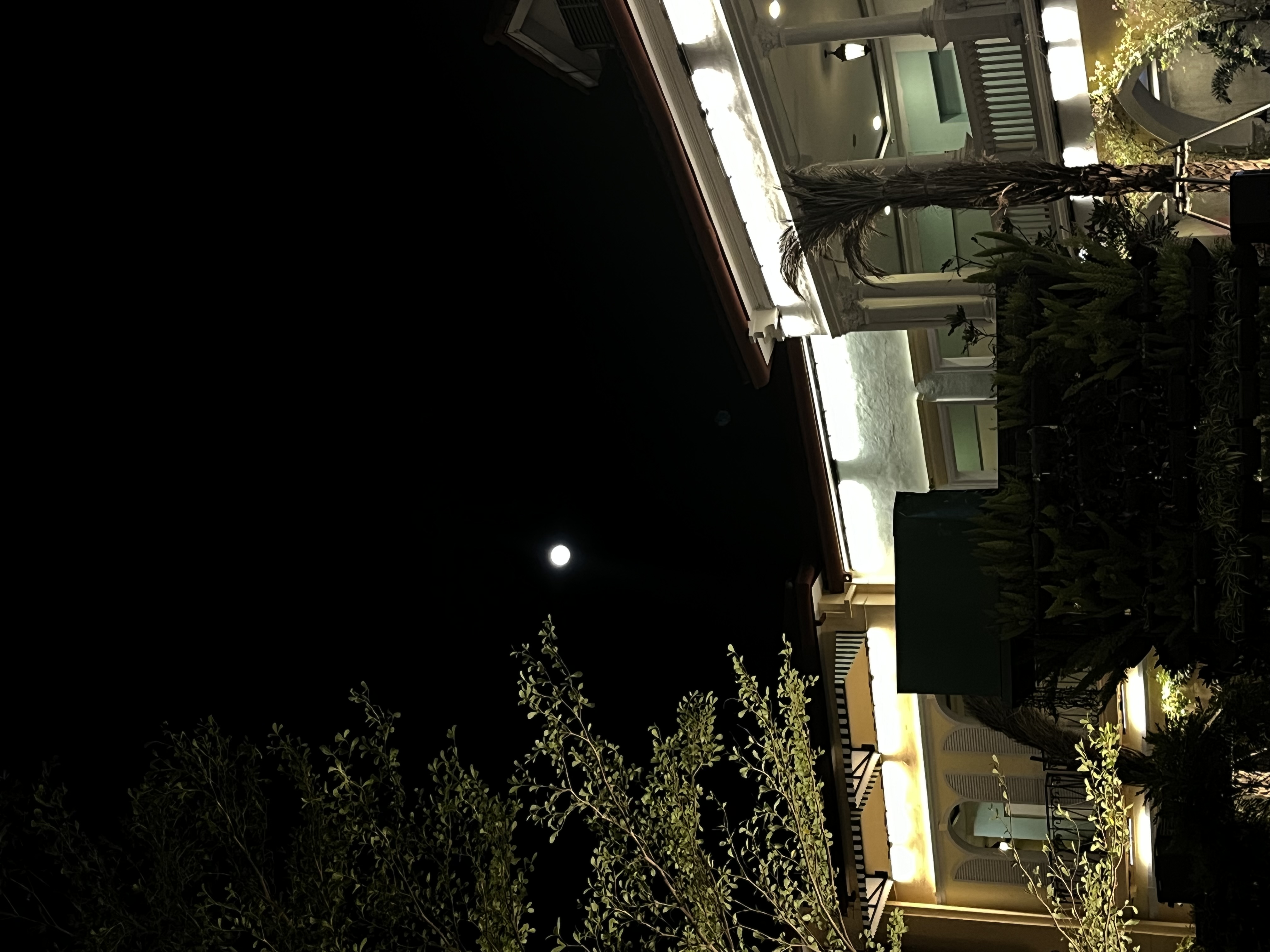 IMG_5374.jpeg