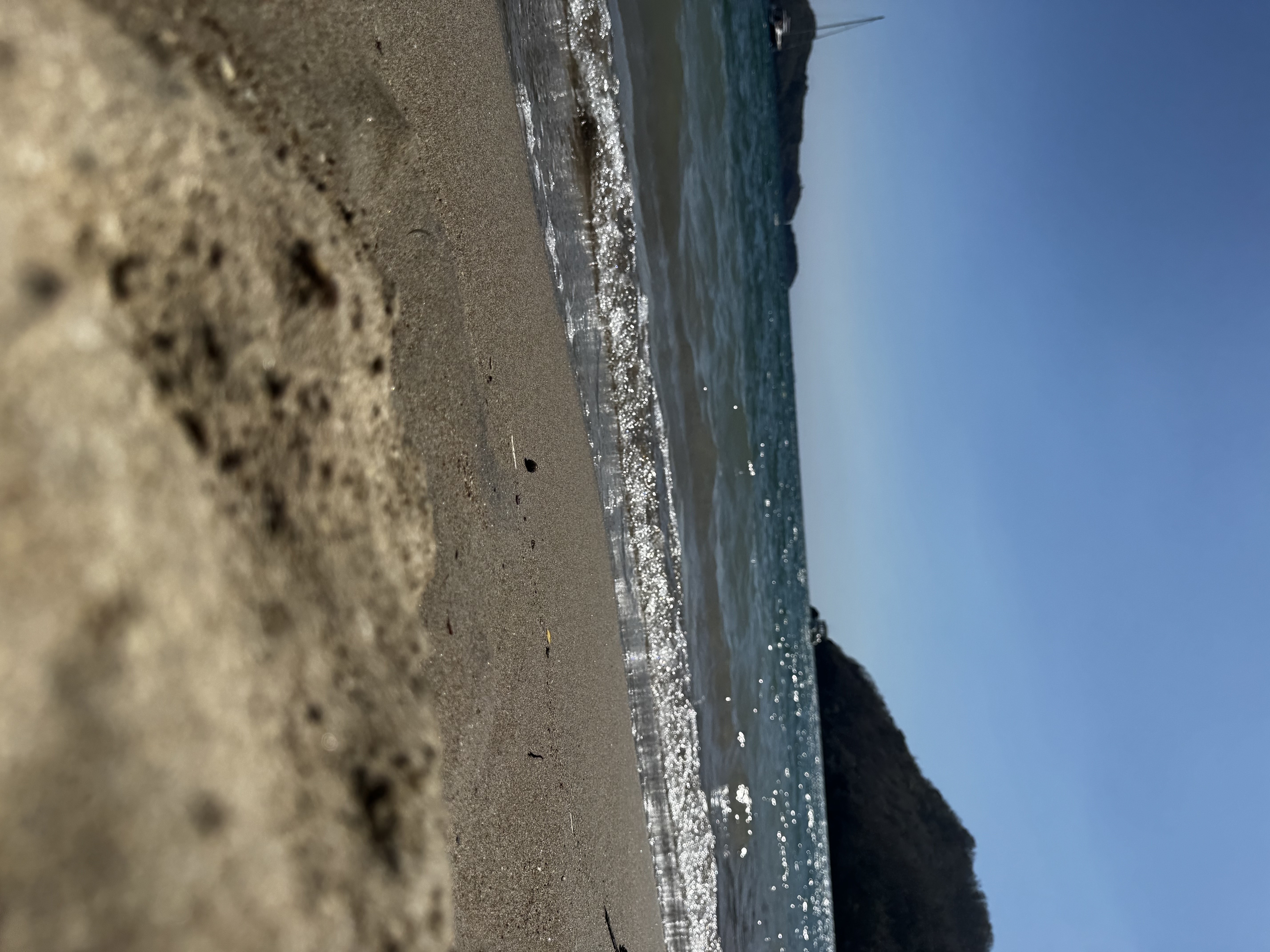 IMG_1372.jpeg