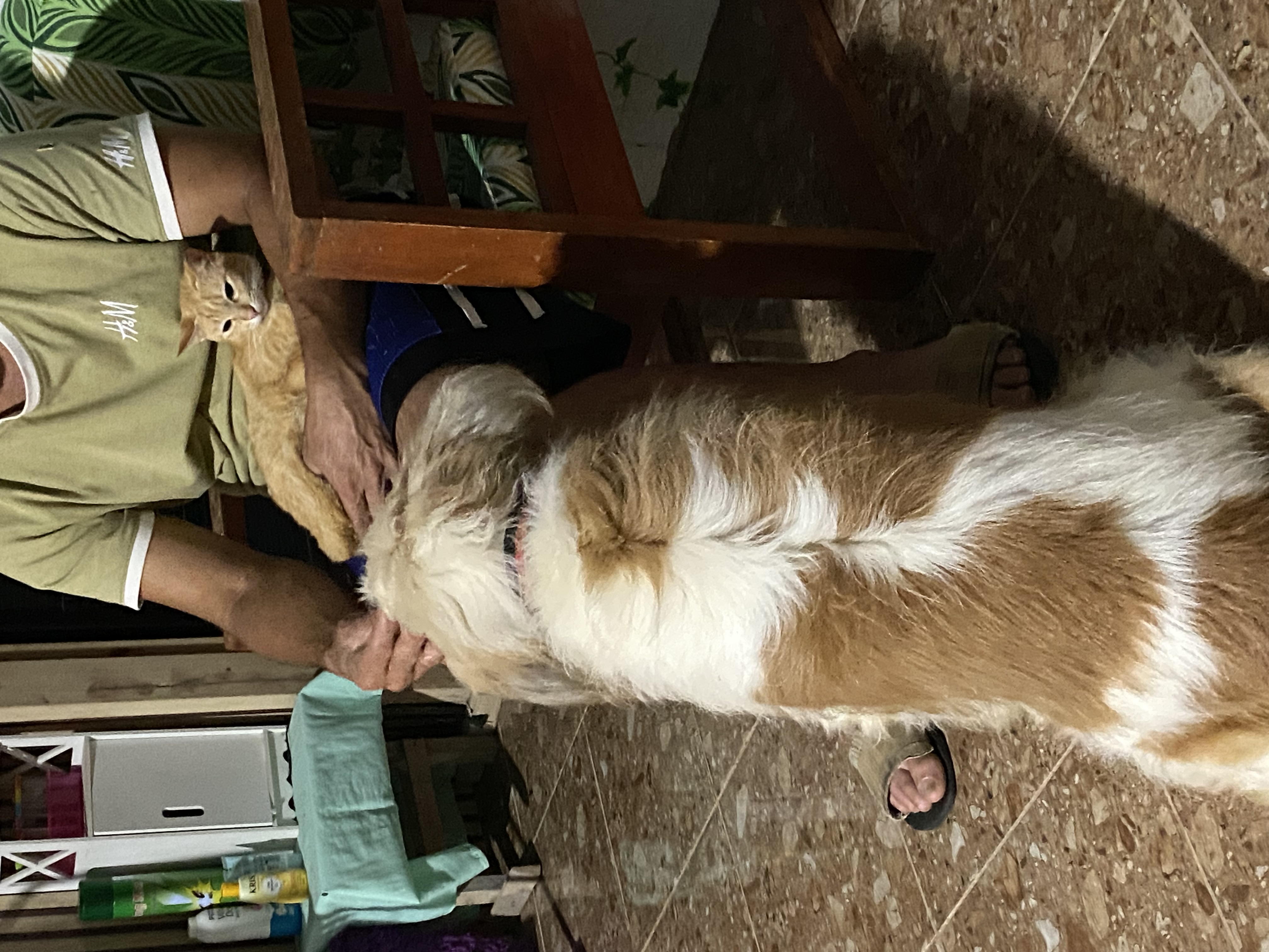 IMG_1395.jpeg