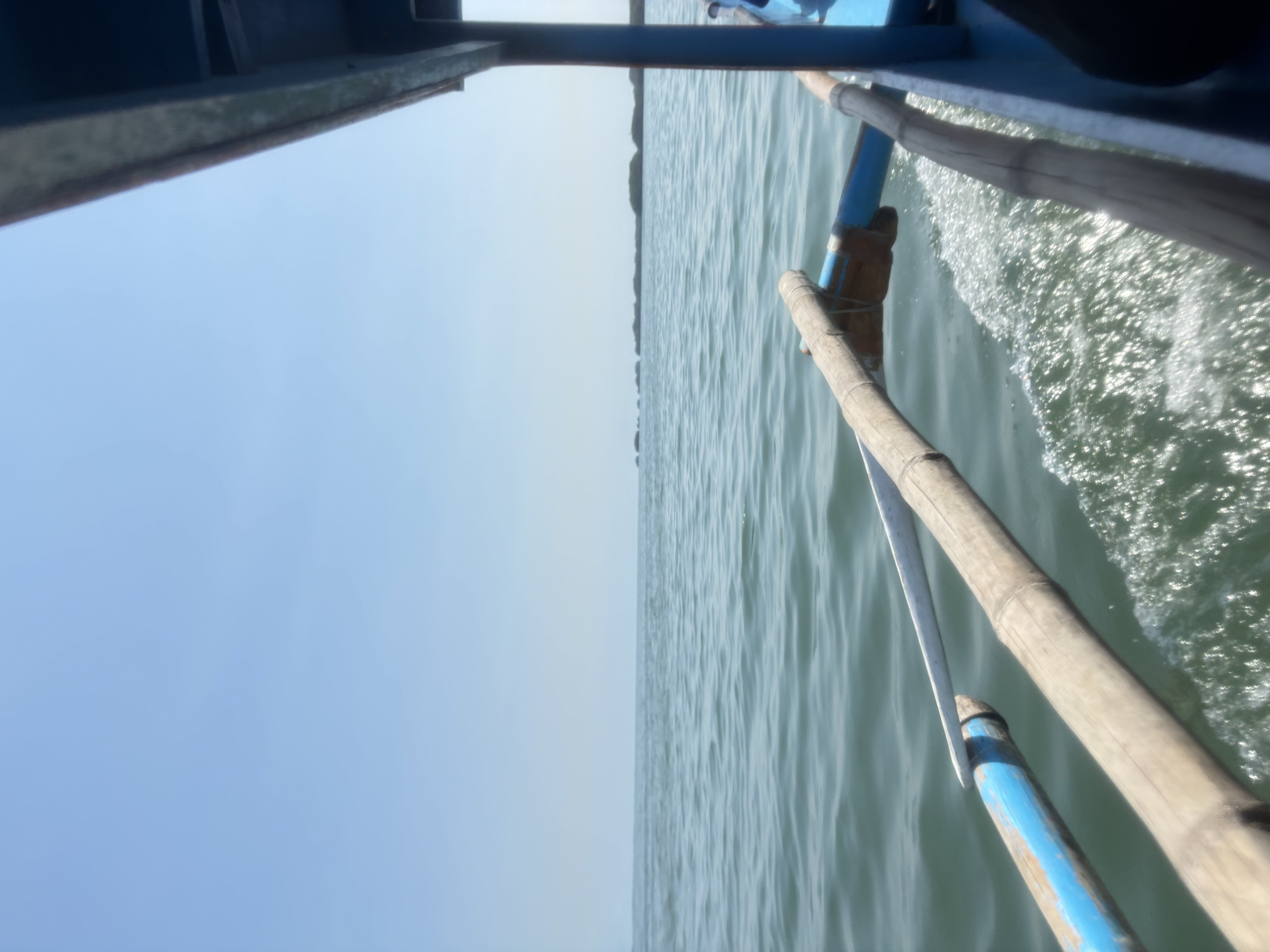 IMG_4381.jpeg