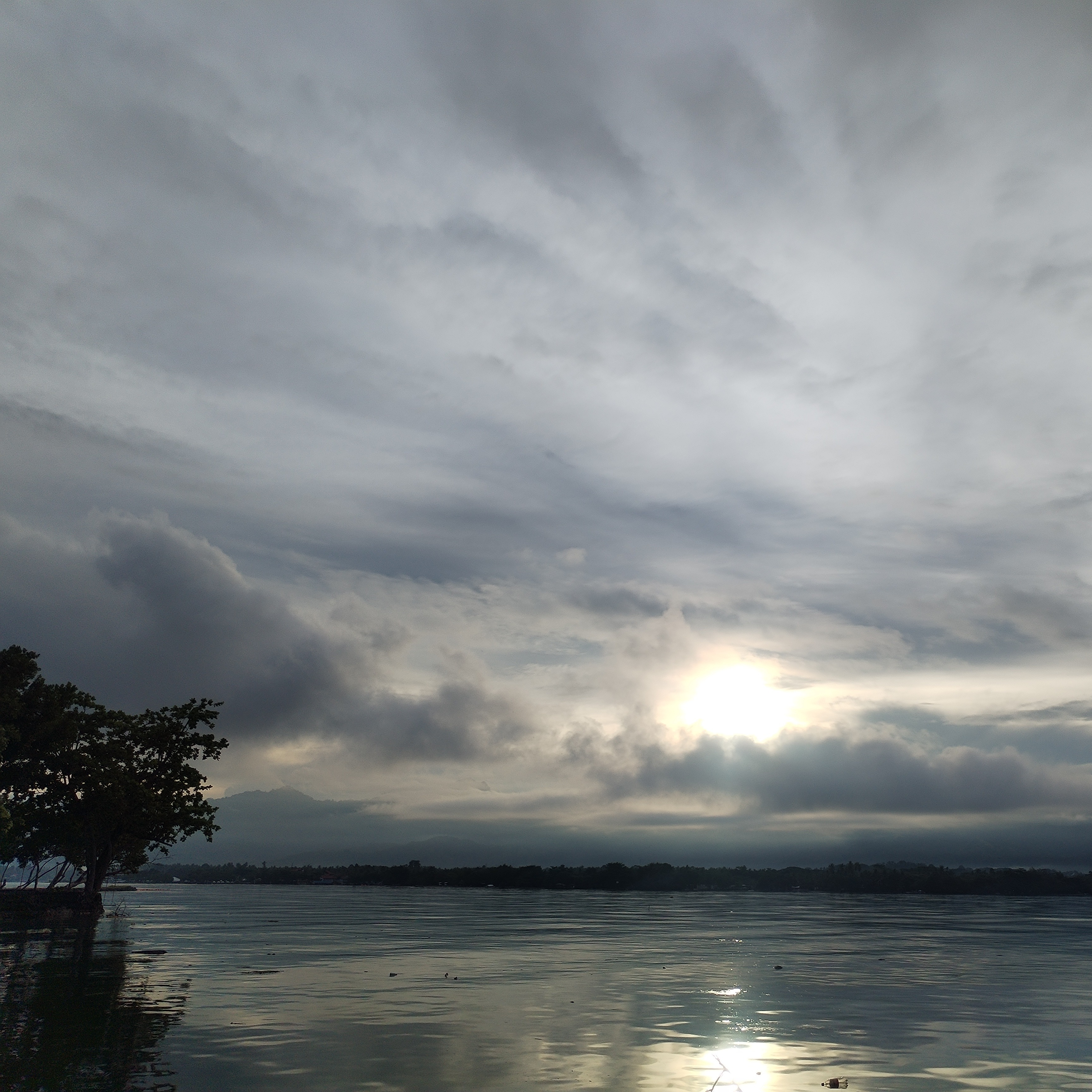 rayover_2026-05-14T17:31:40.832Z