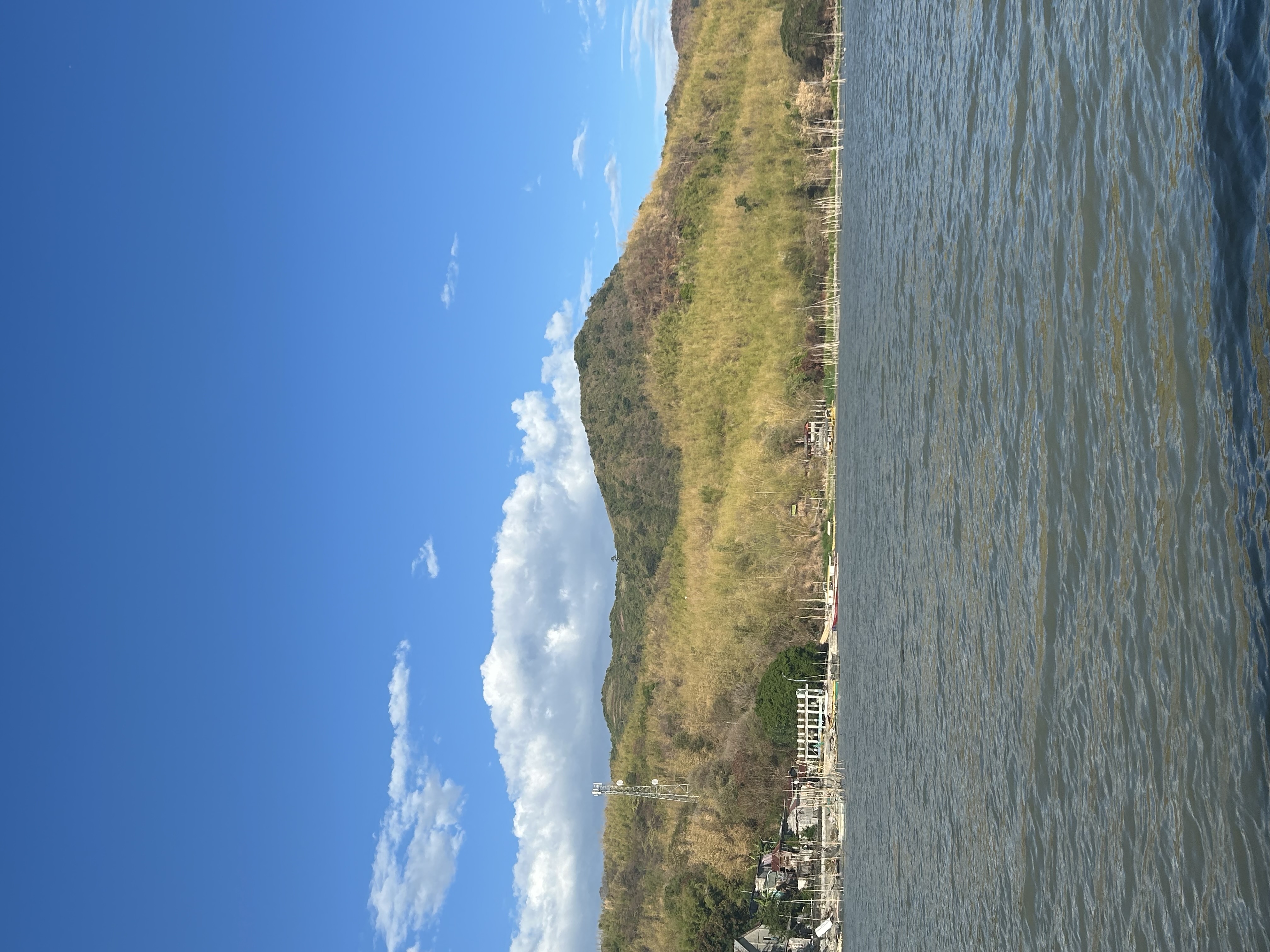 IMG_7218.jpeg