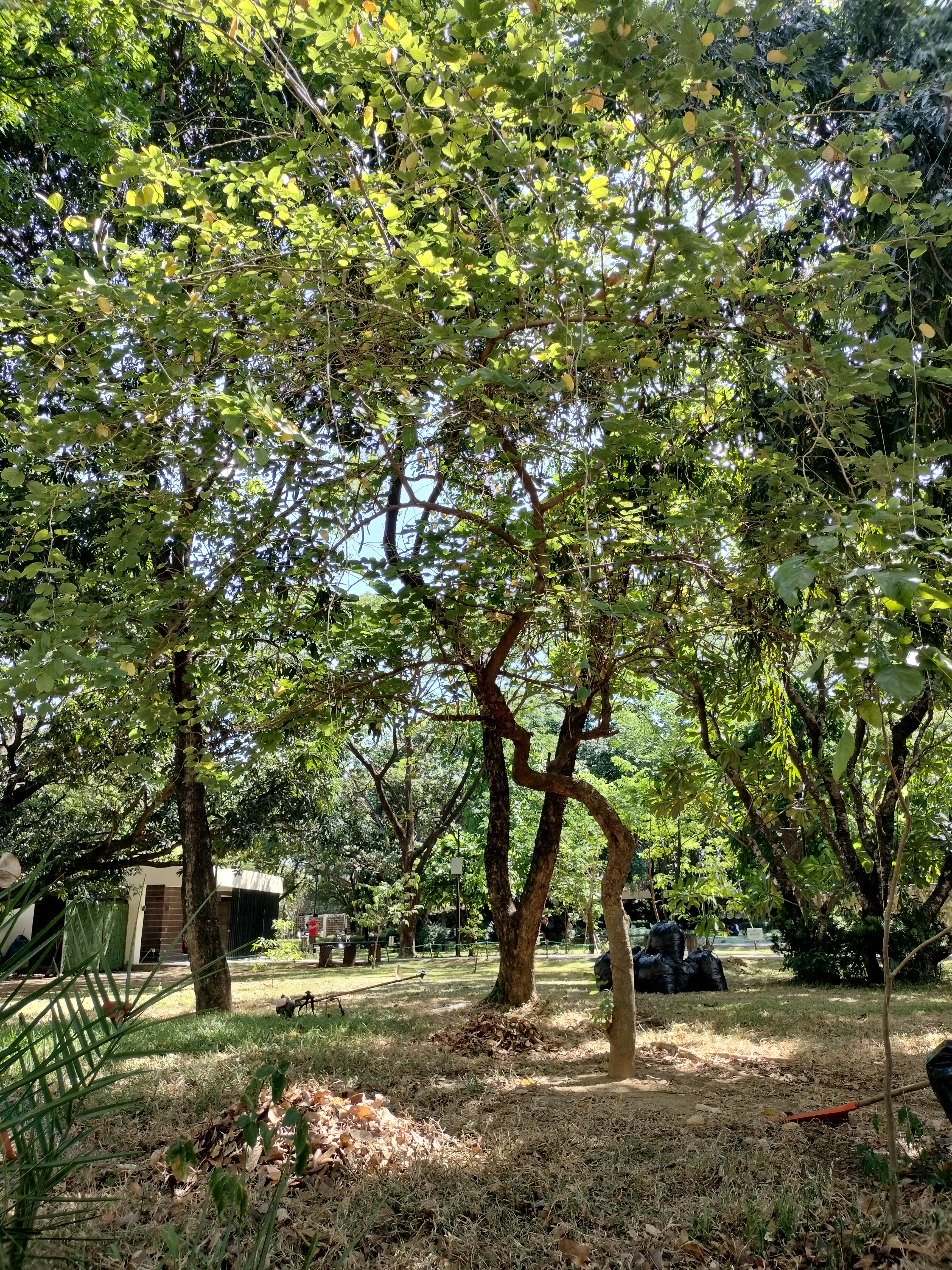 1000147935.jpg