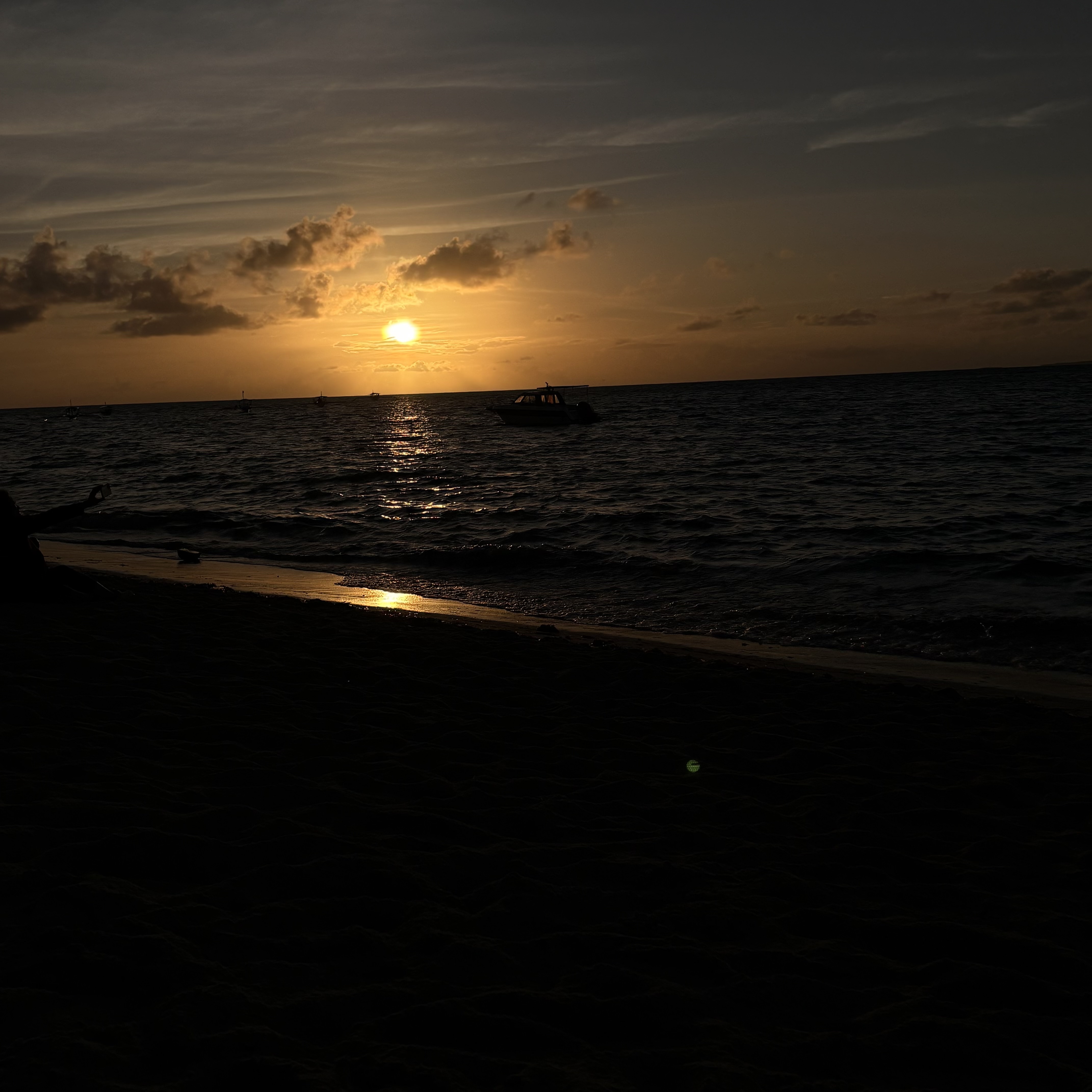 IMG_4684.jpeg