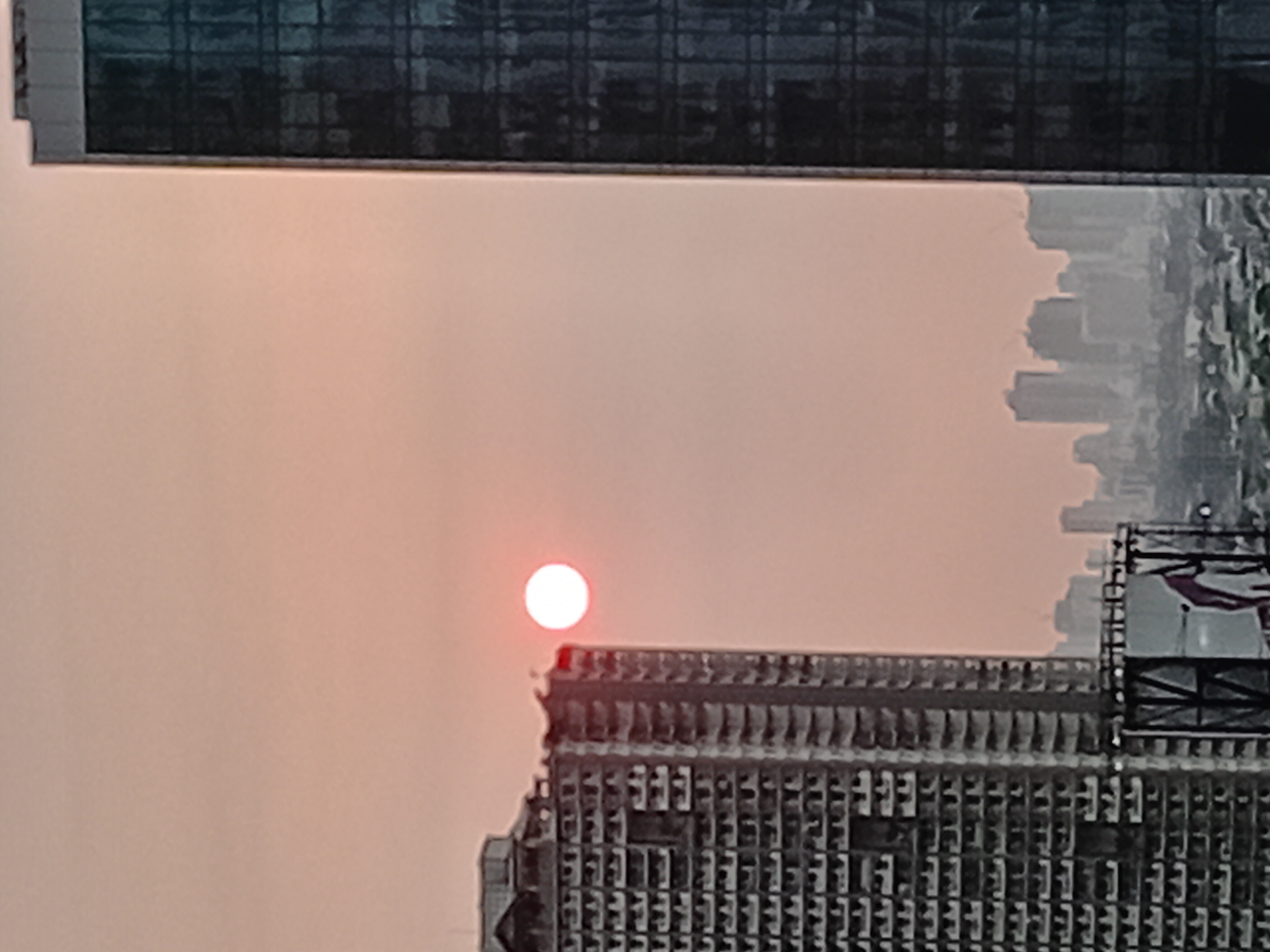 1000009042.jpg
