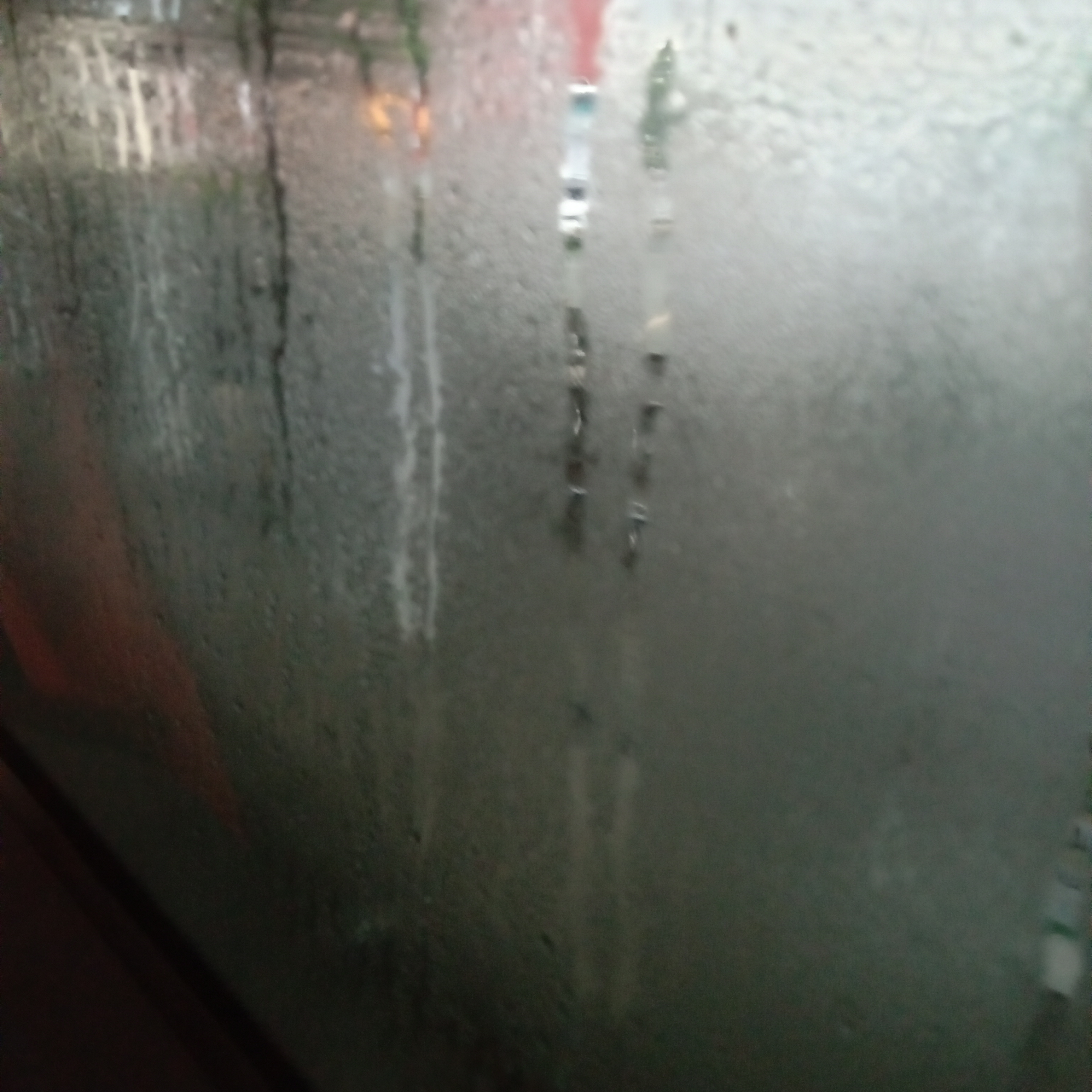 IMG20260516063914.jpg