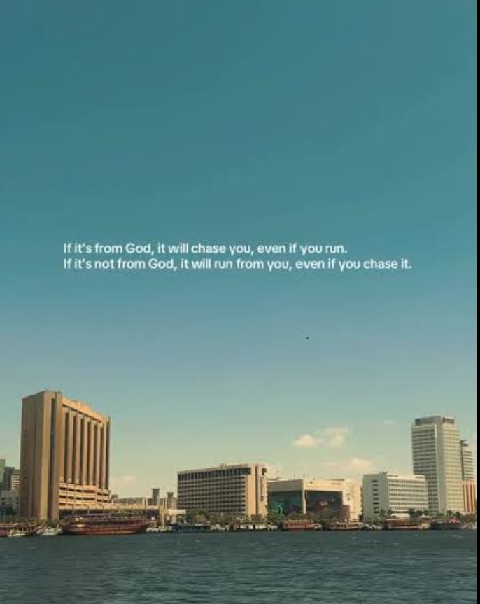 1000064785.jpg