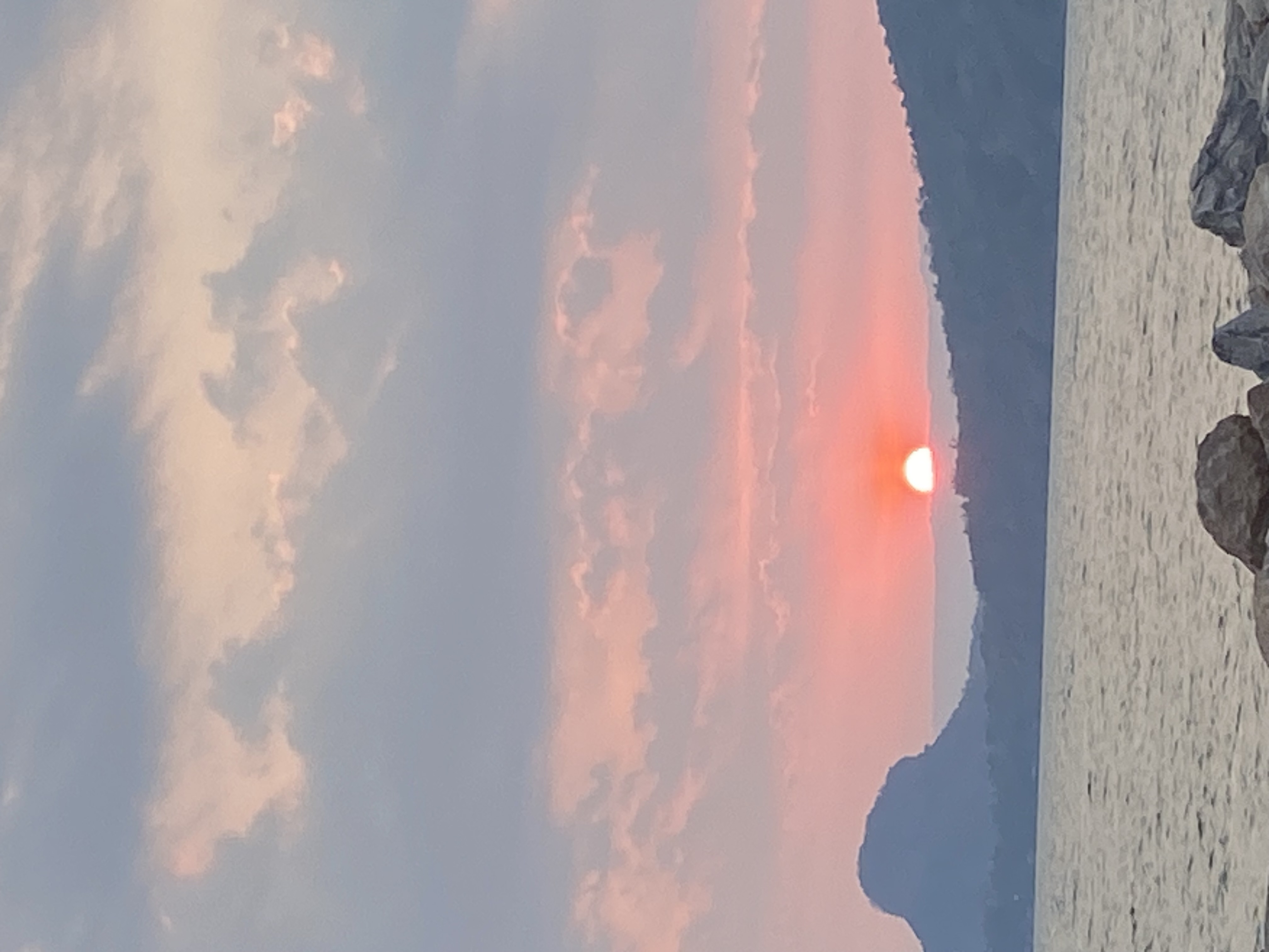 IMG_8895.jpeg