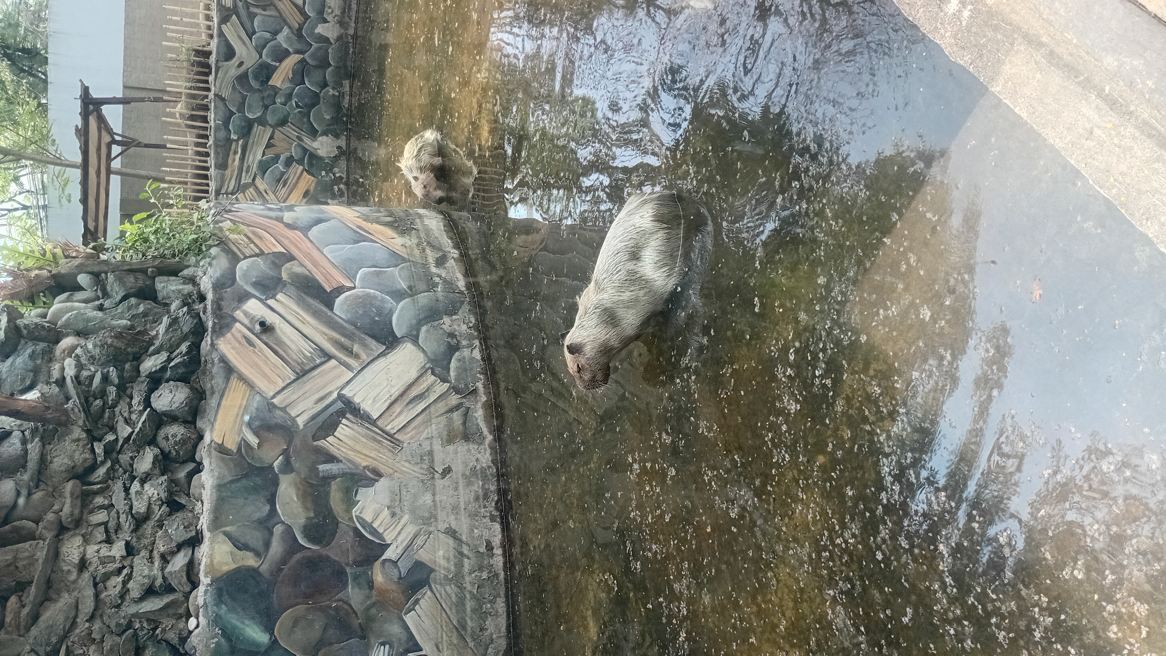 1000010025.jpg