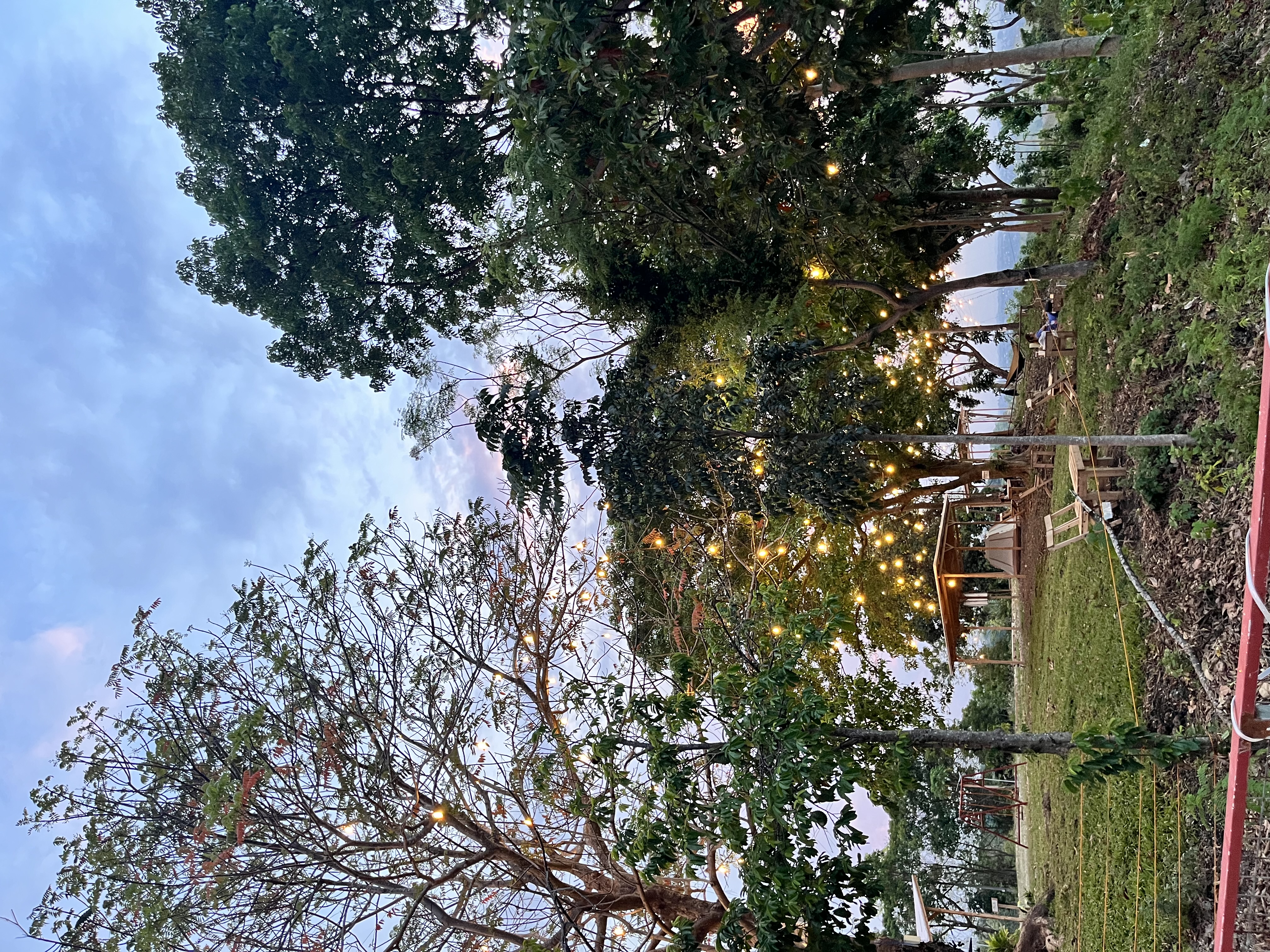 IMG_1717.jpeg