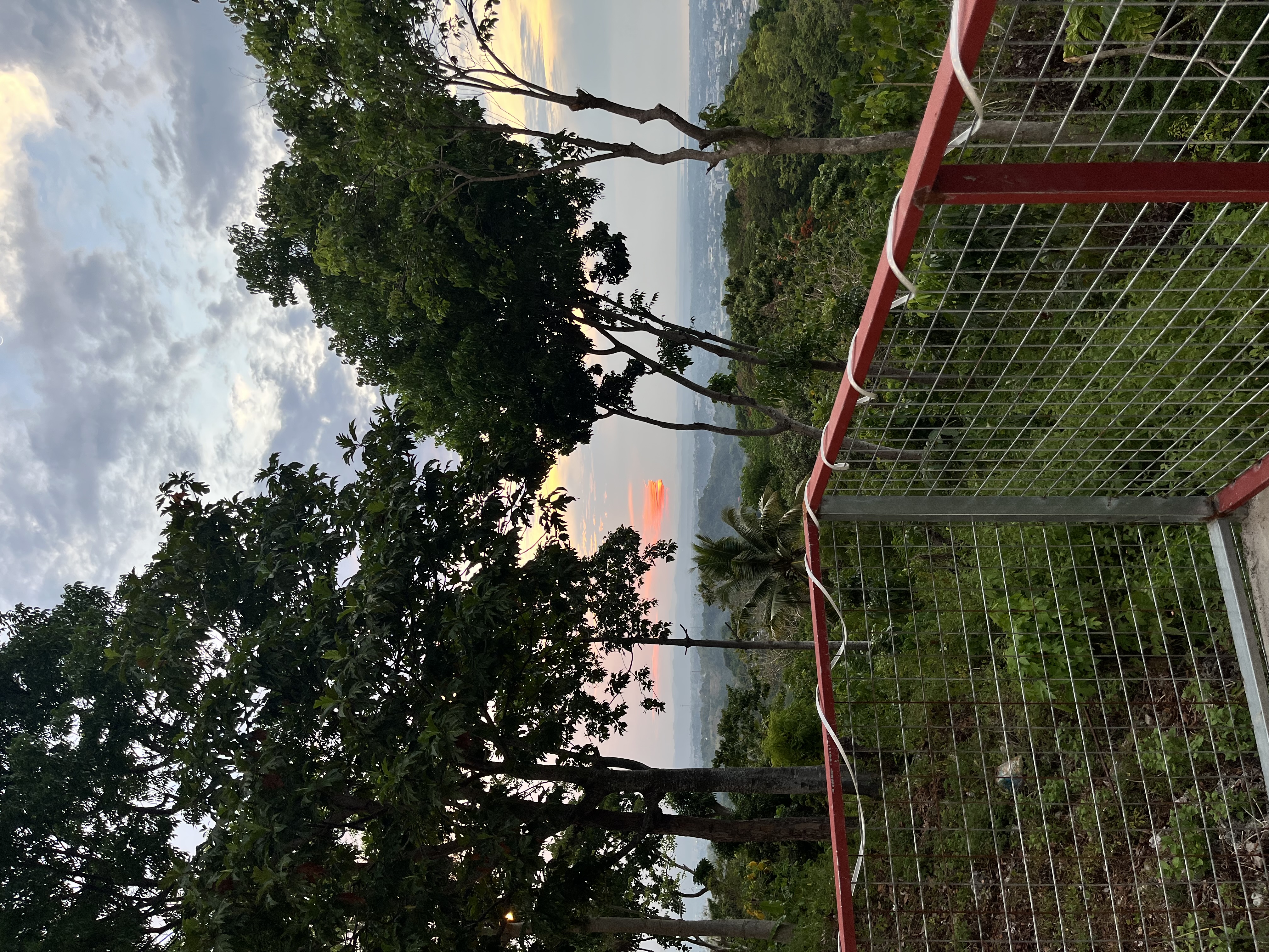 IMG_1680.jpeg
