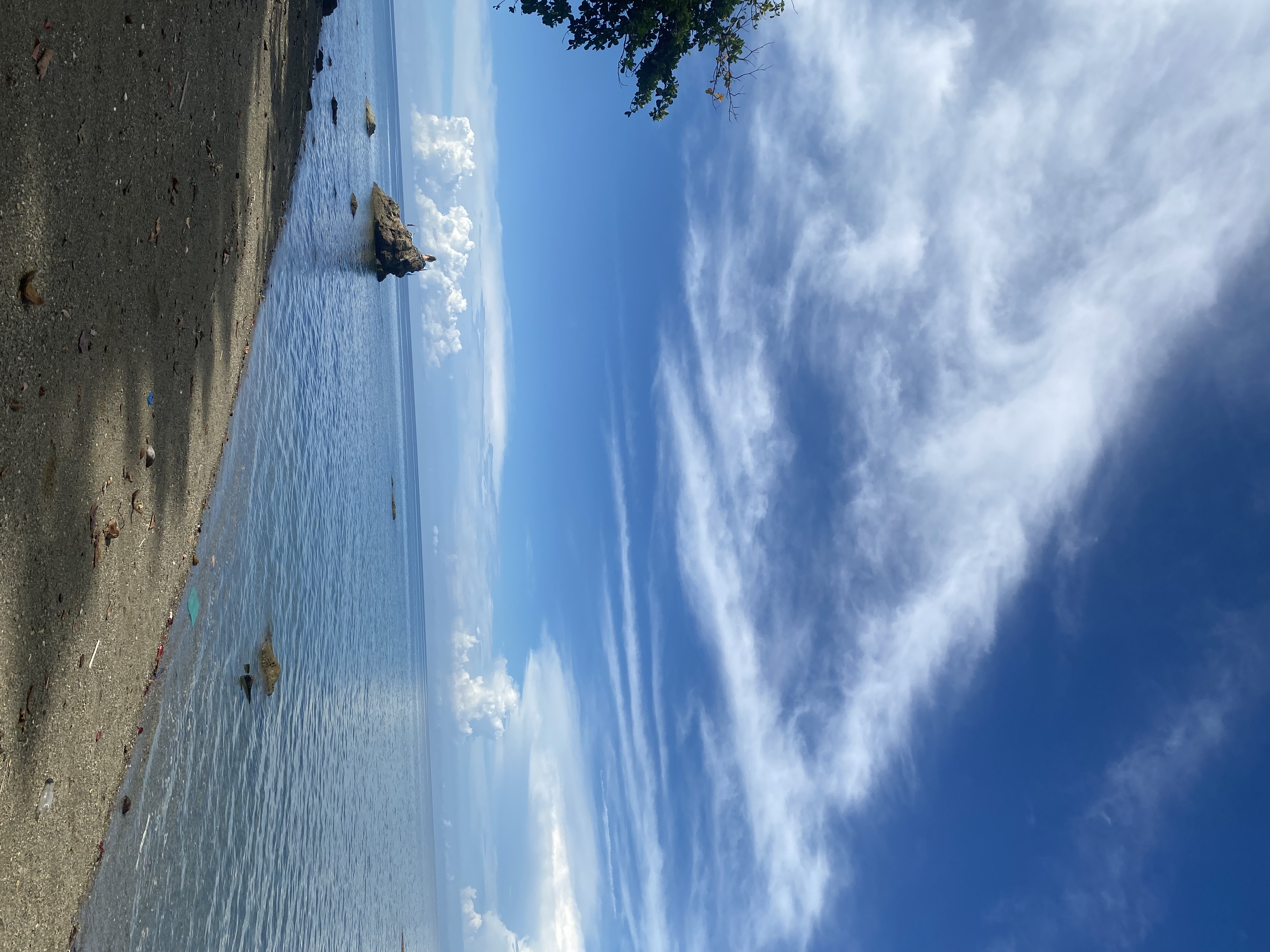 IMG_0426.jpeg