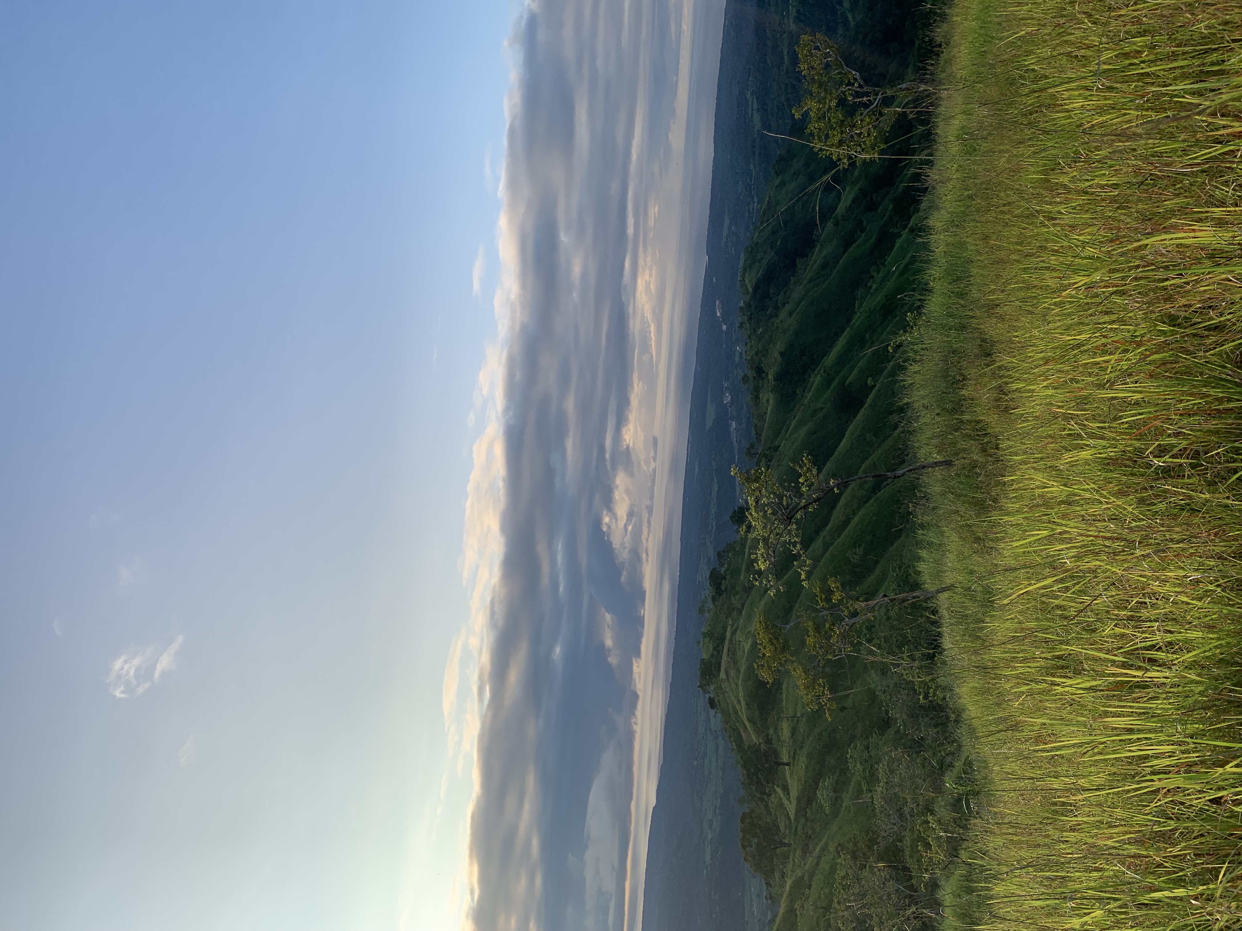 IMG_8837.jpeg
