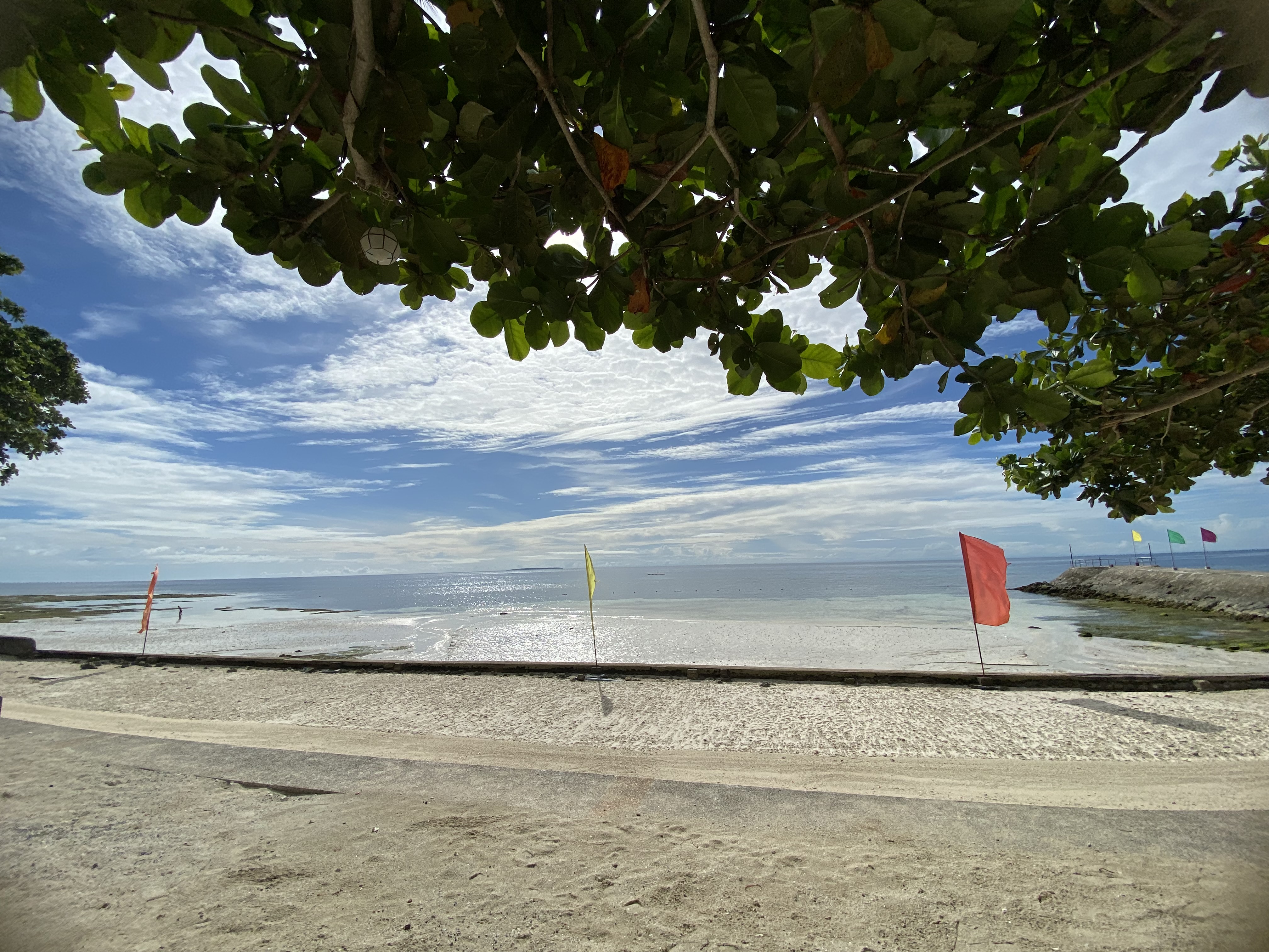 IMG_6785.jpeg