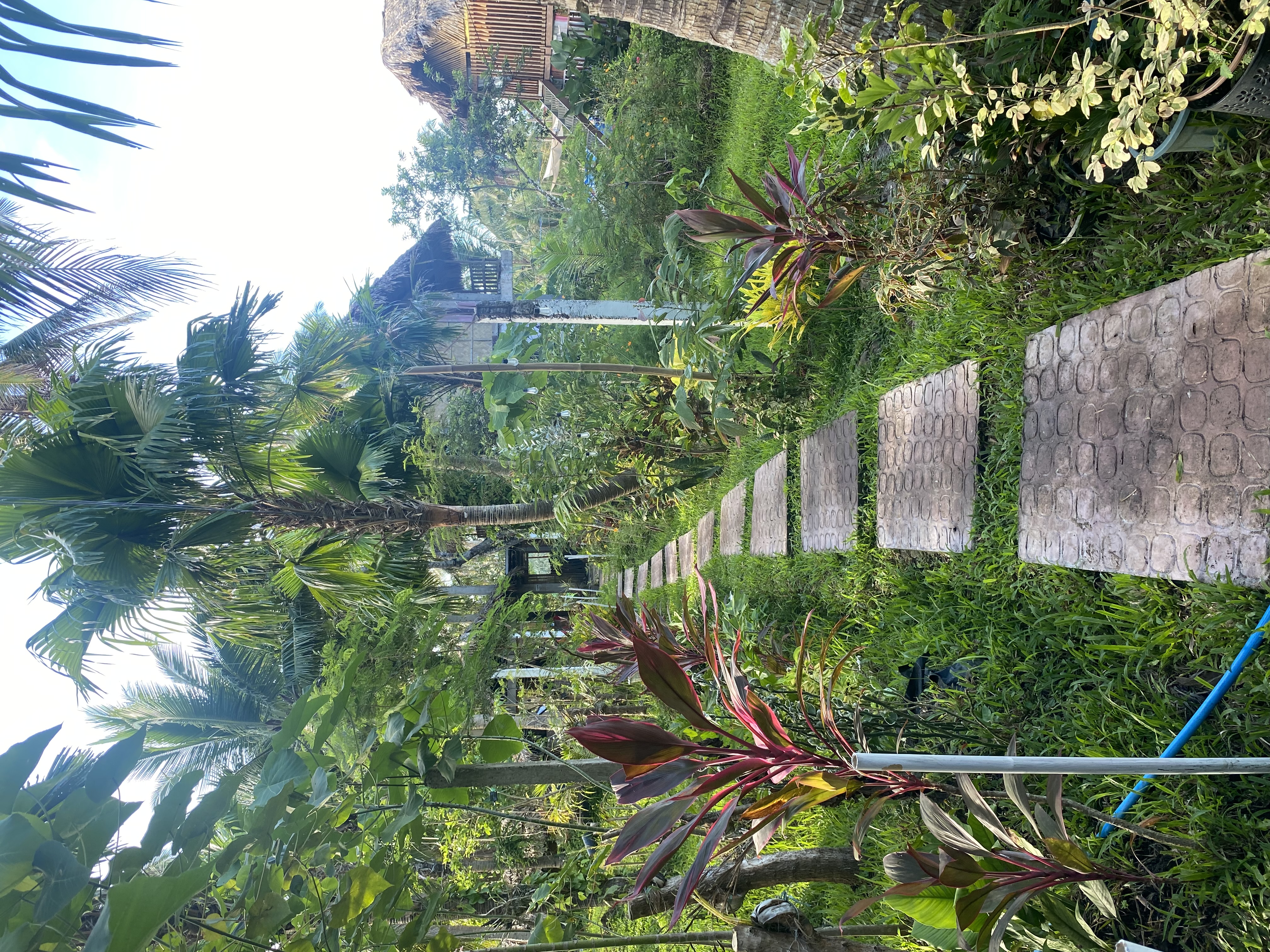 IMG_0504.jpeg