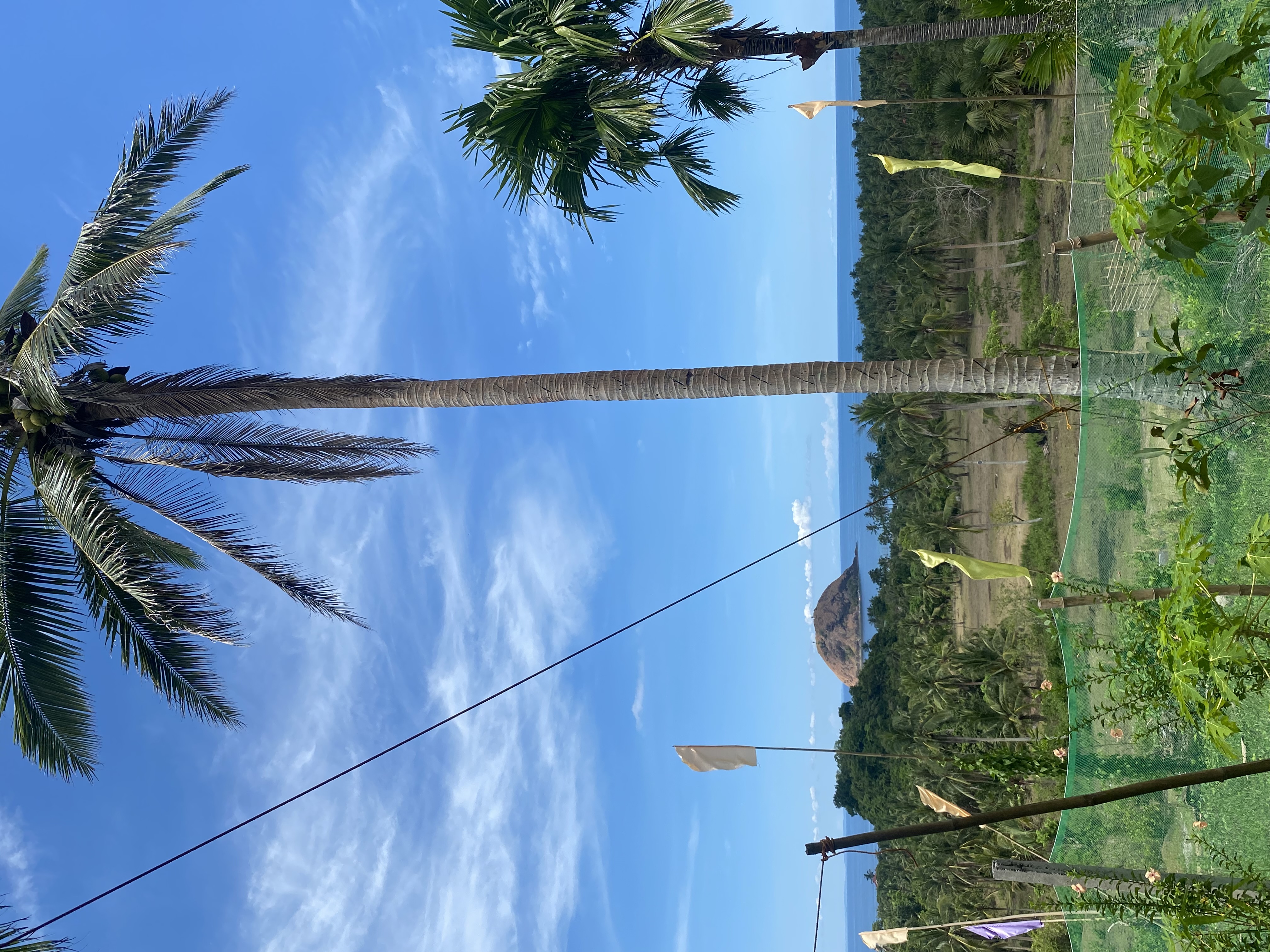 IMG_0511.jpeg
