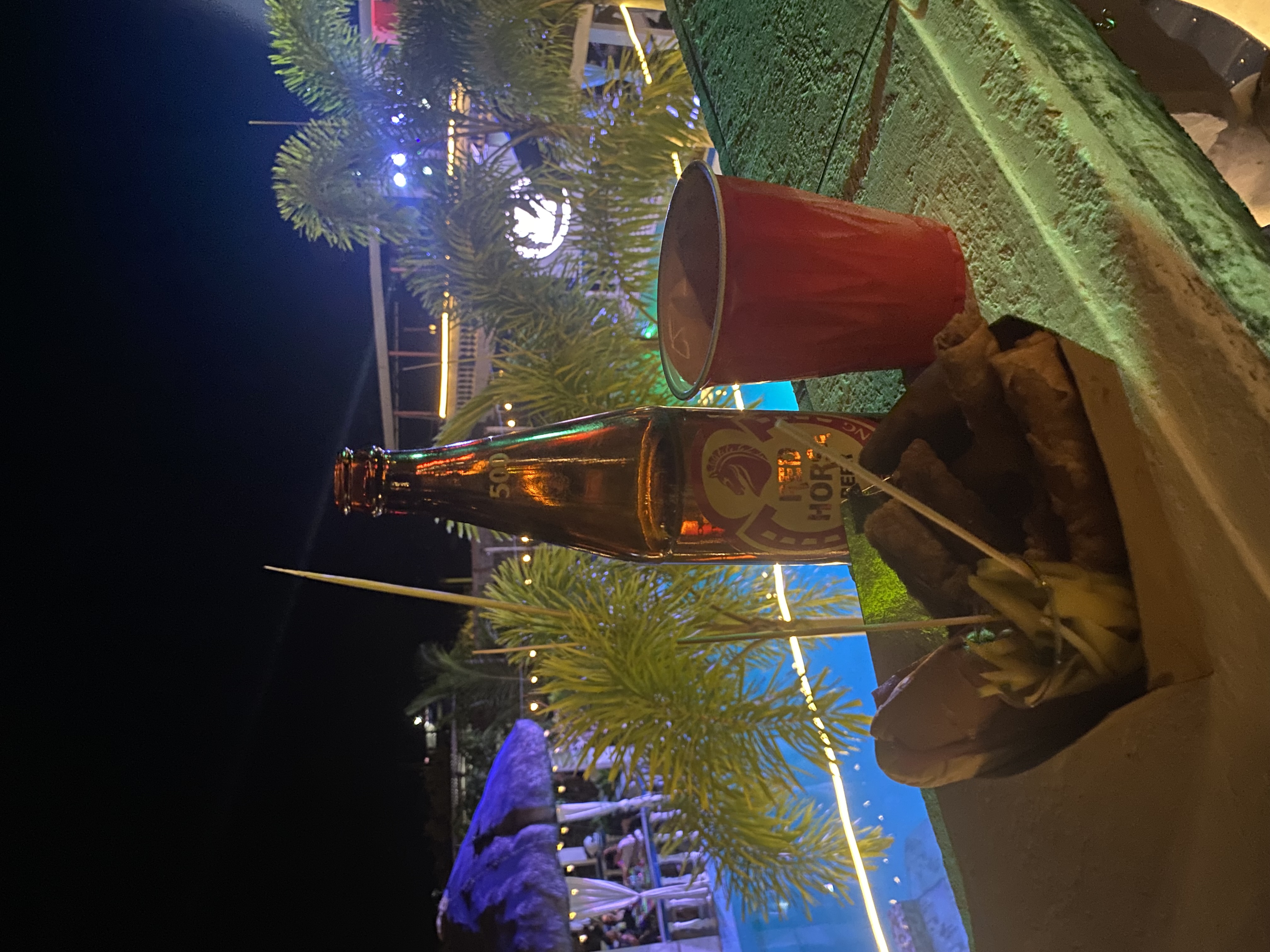 IMG_0547.jpeg