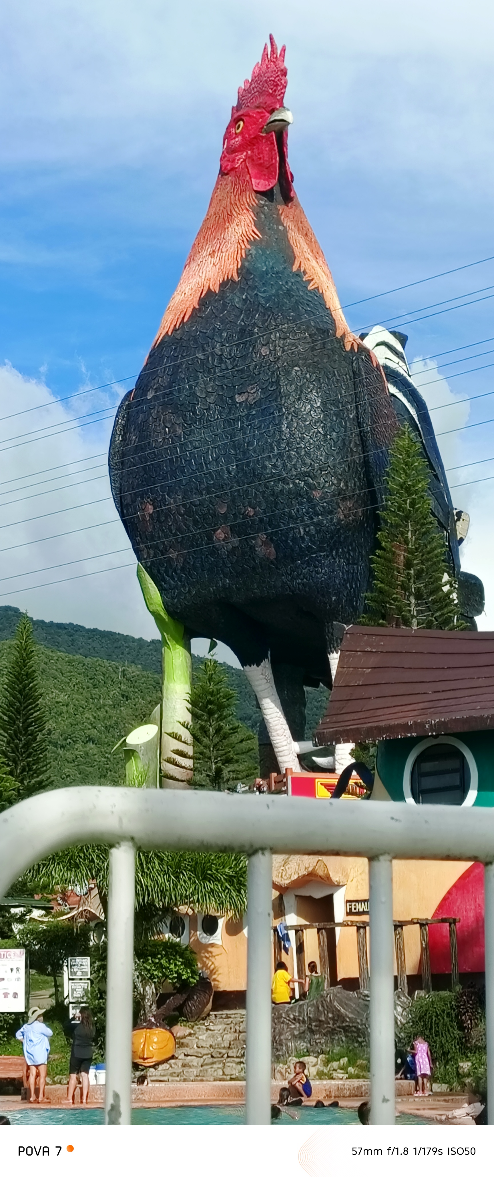 33008.jpg