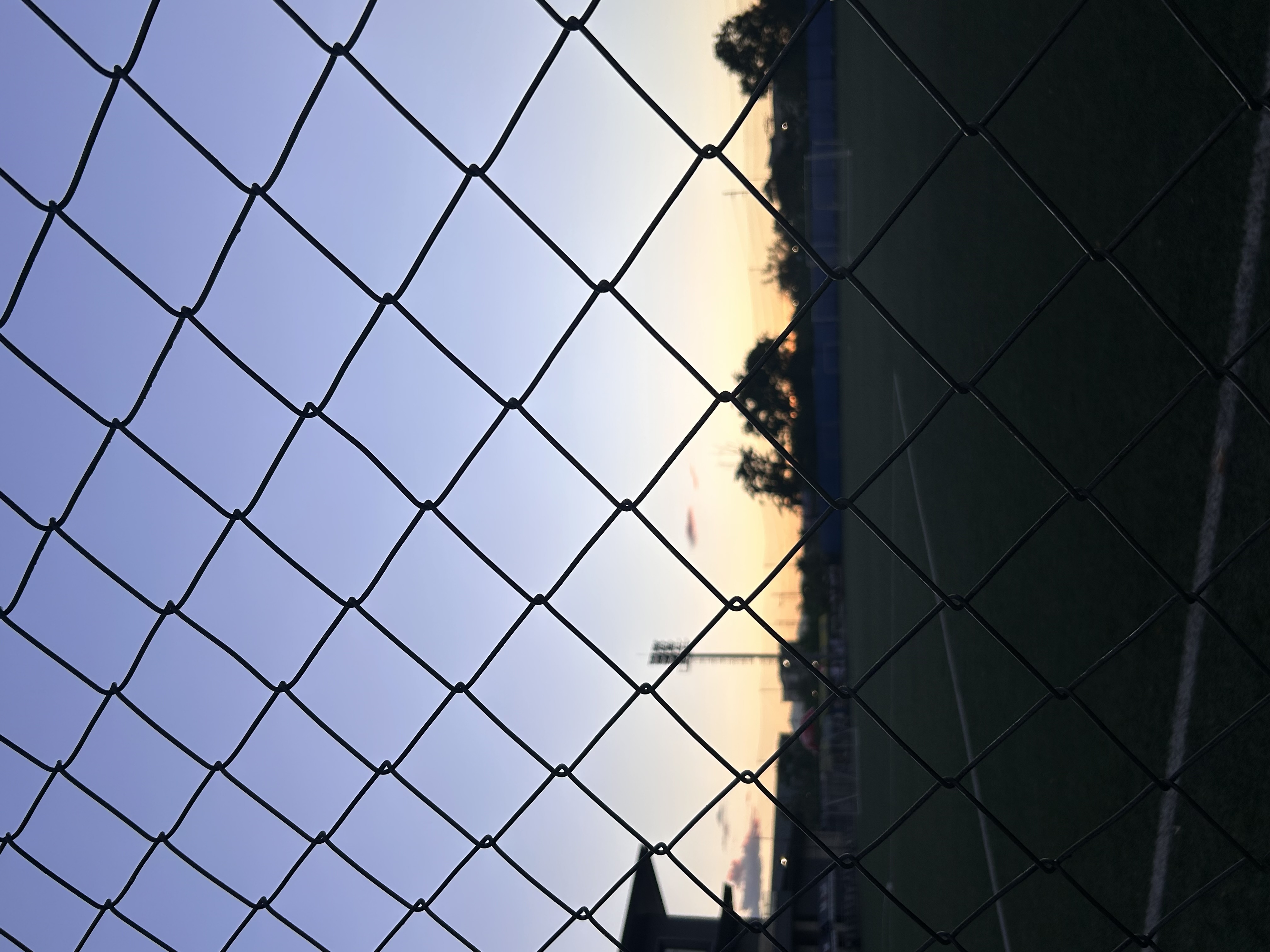 IMG_5329.jpeg