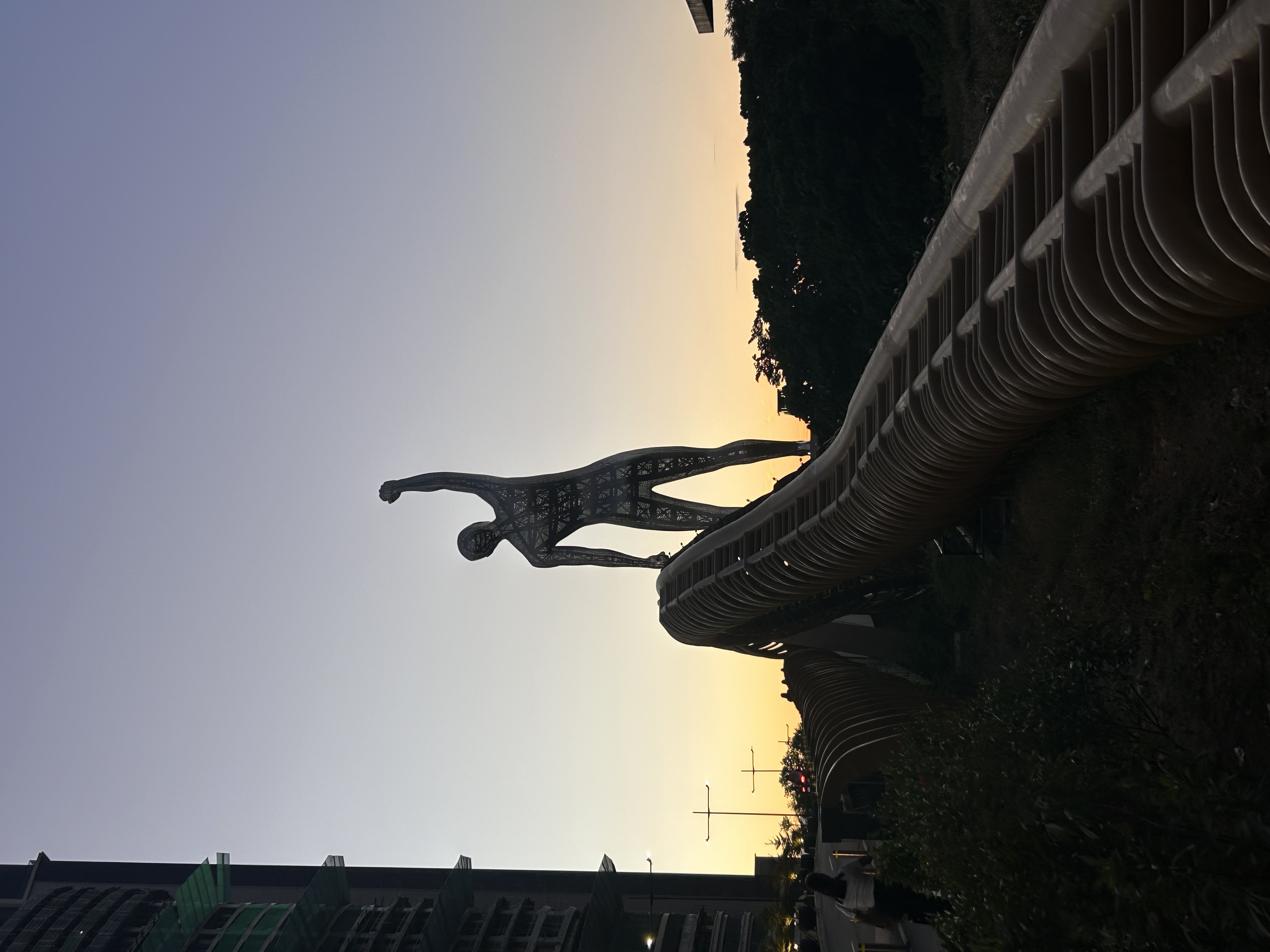 IMG_5311.jpeg