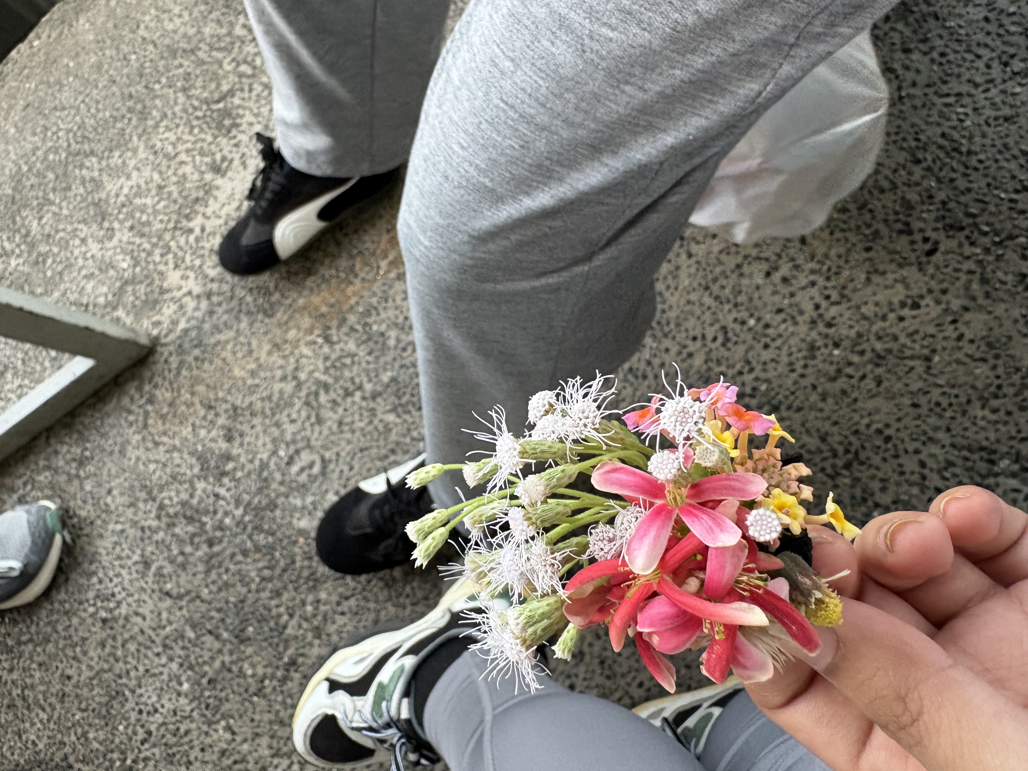 IMG_9234.jpeg
