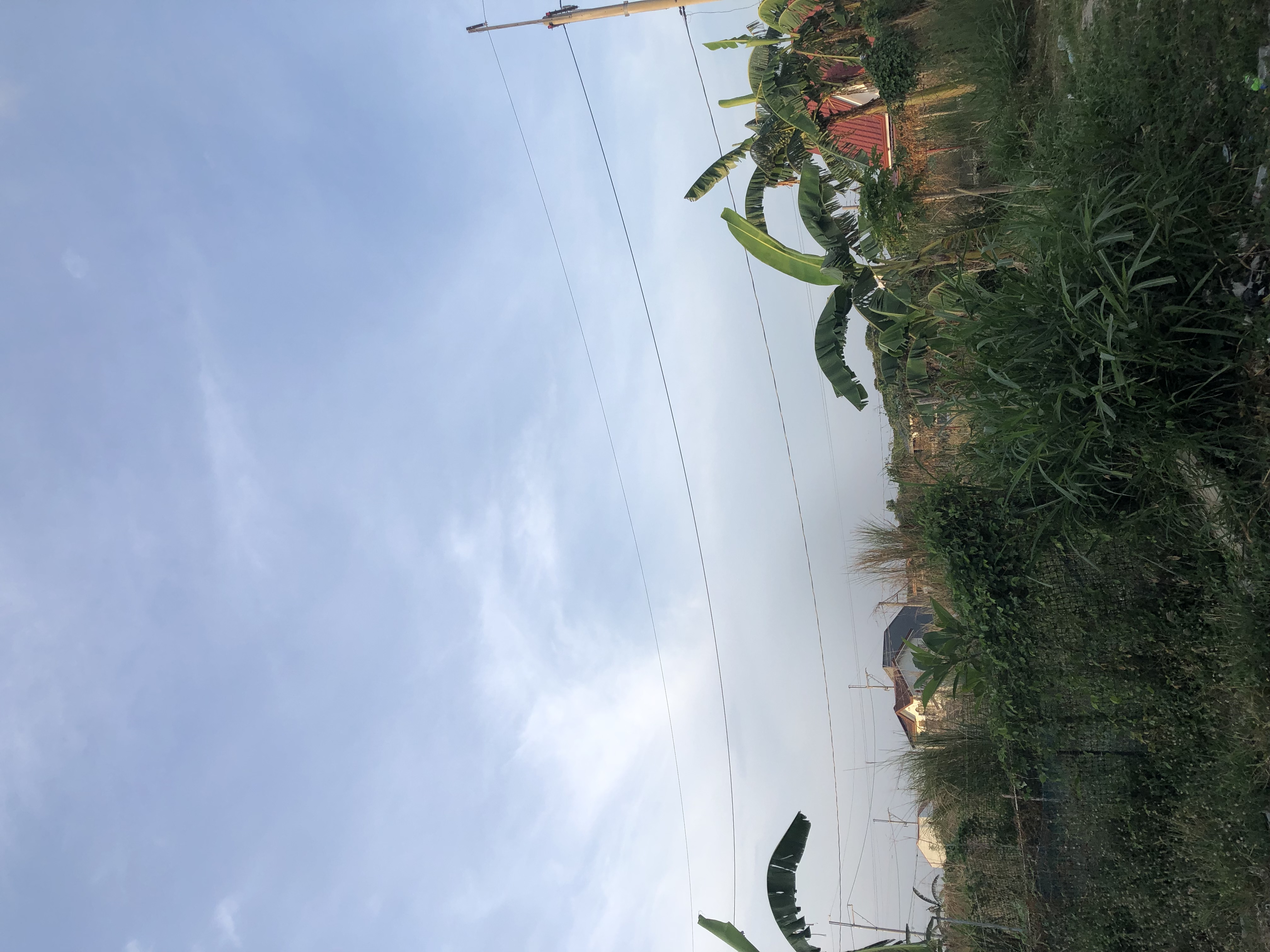 IMG_1480.jpeg