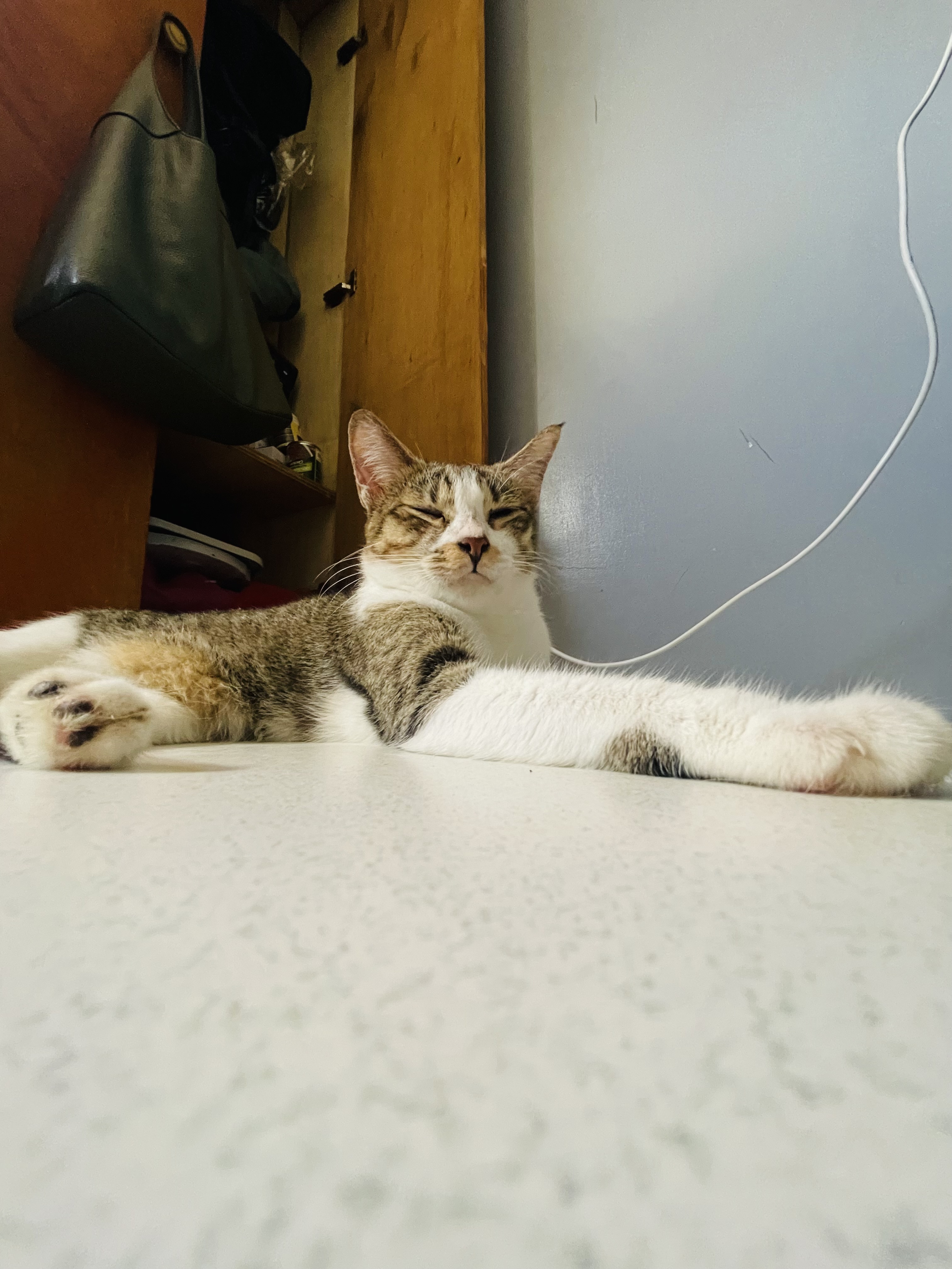 IMG_9074.jpeg