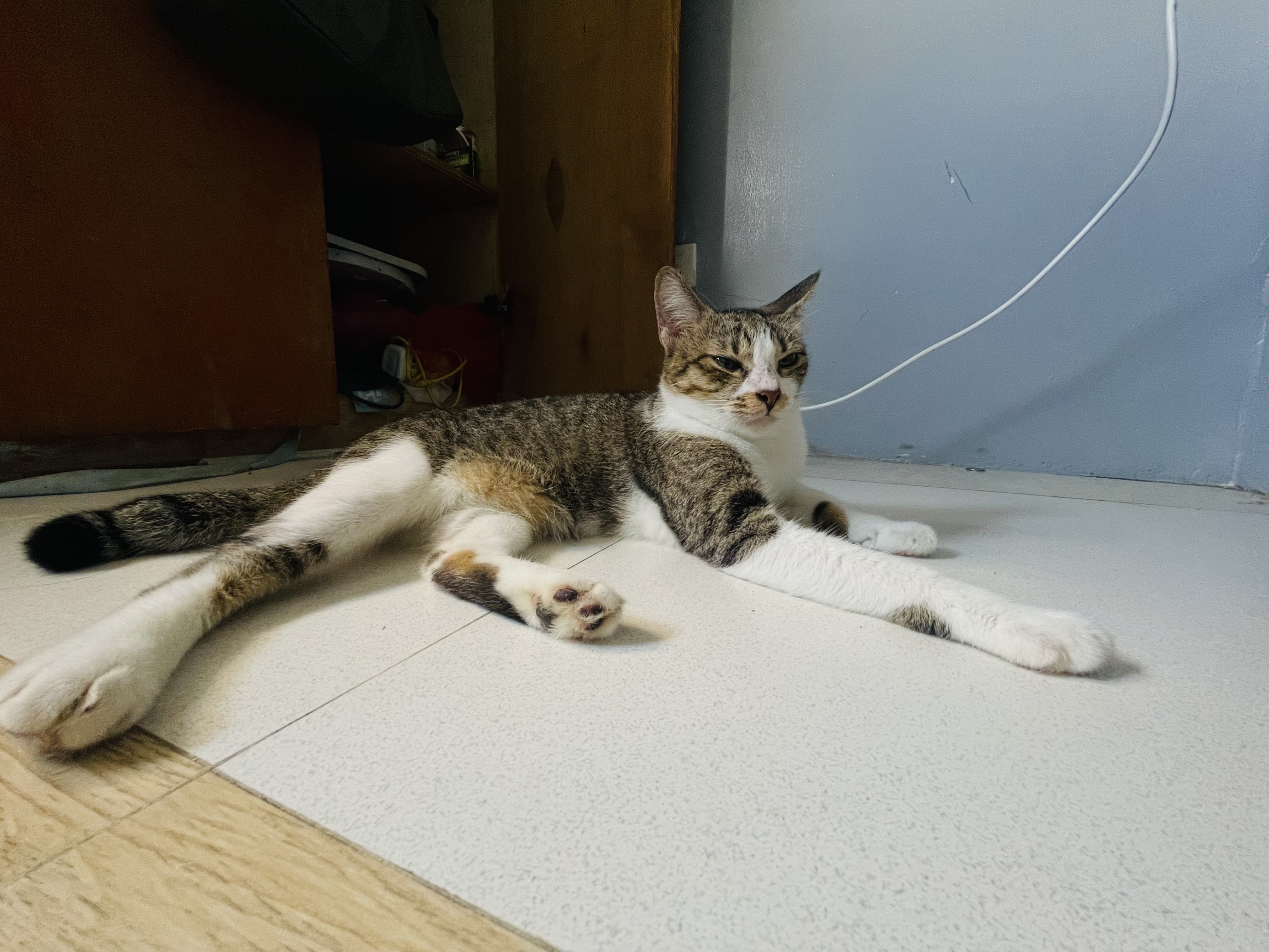 IMG_9080.jpeg