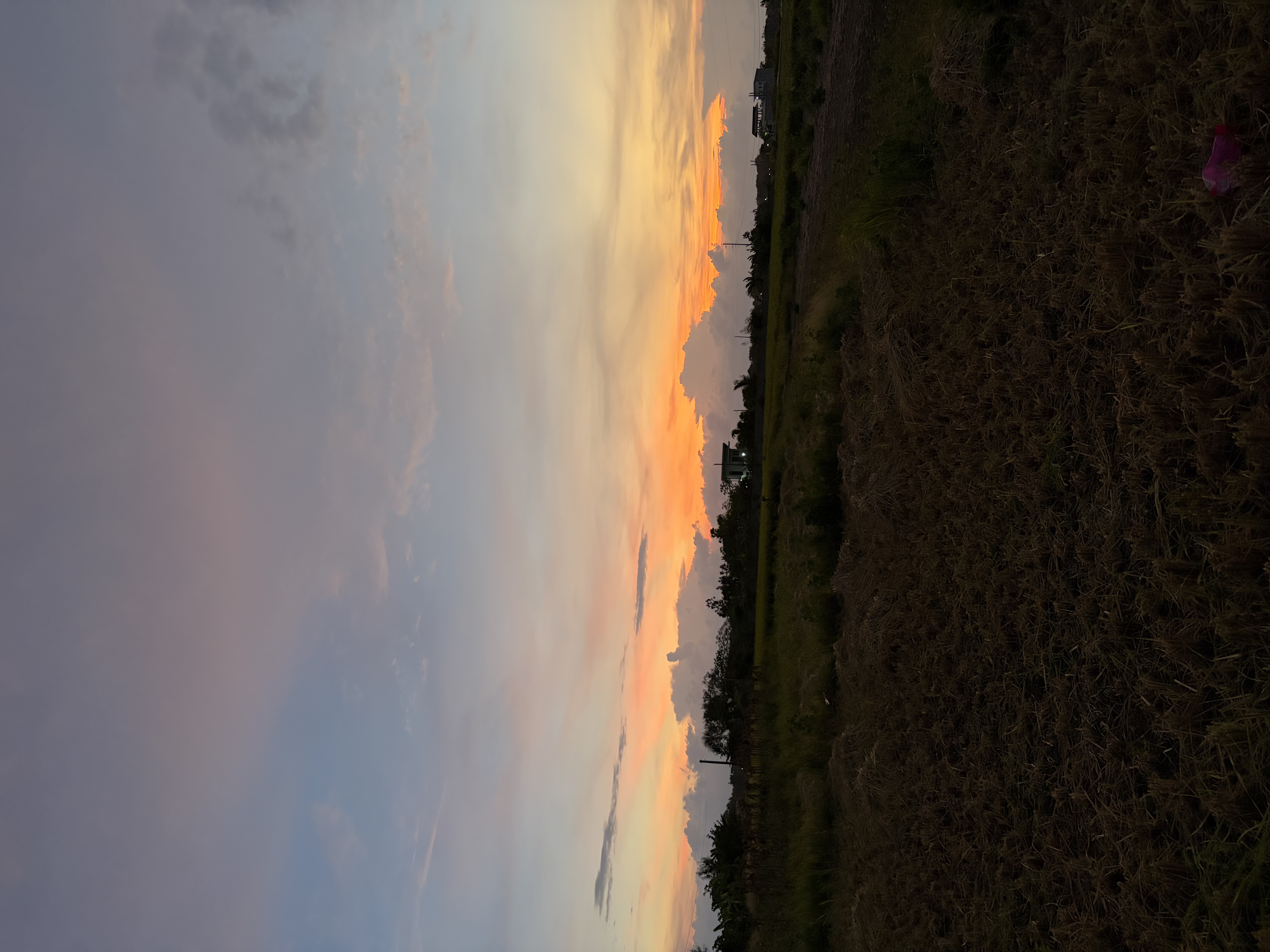 IMG_2030.jpeg