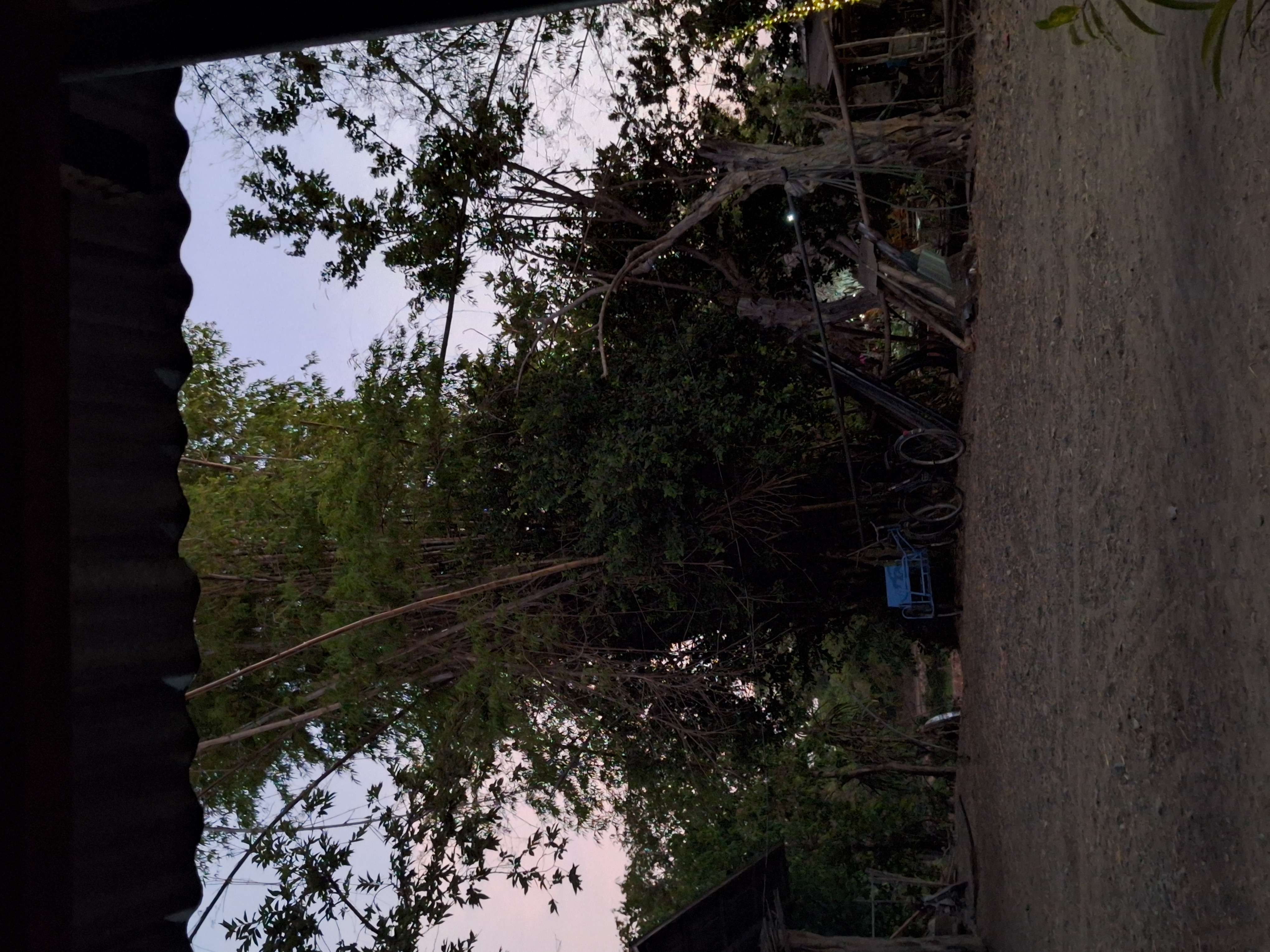 image-5689665924386754987.jpg