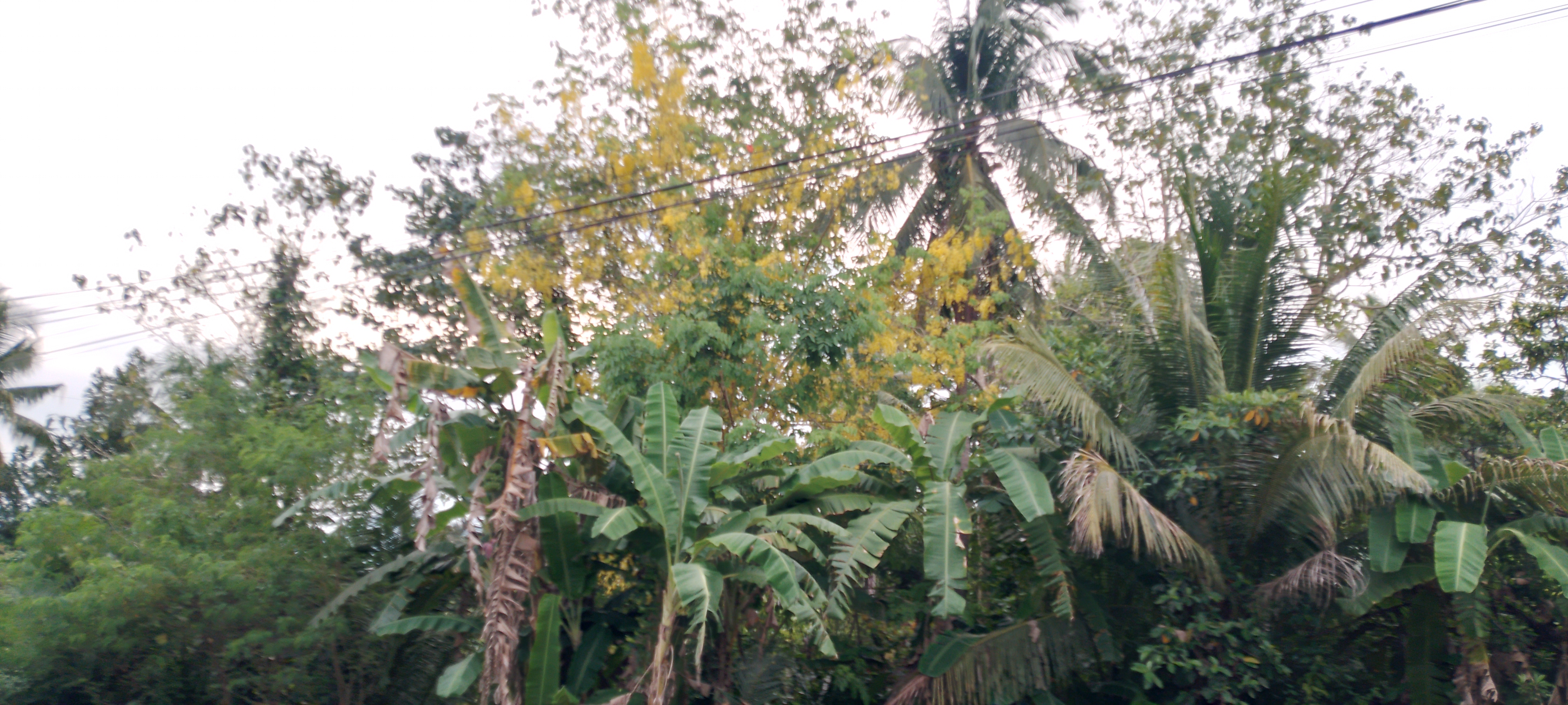 20260602_172810.jpg