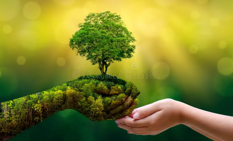 environment-earth-day-hands-trees-growing-seedlings-bokeh-green-background-female-hand-holding-tree-nature-field-gra-130247647.webp
