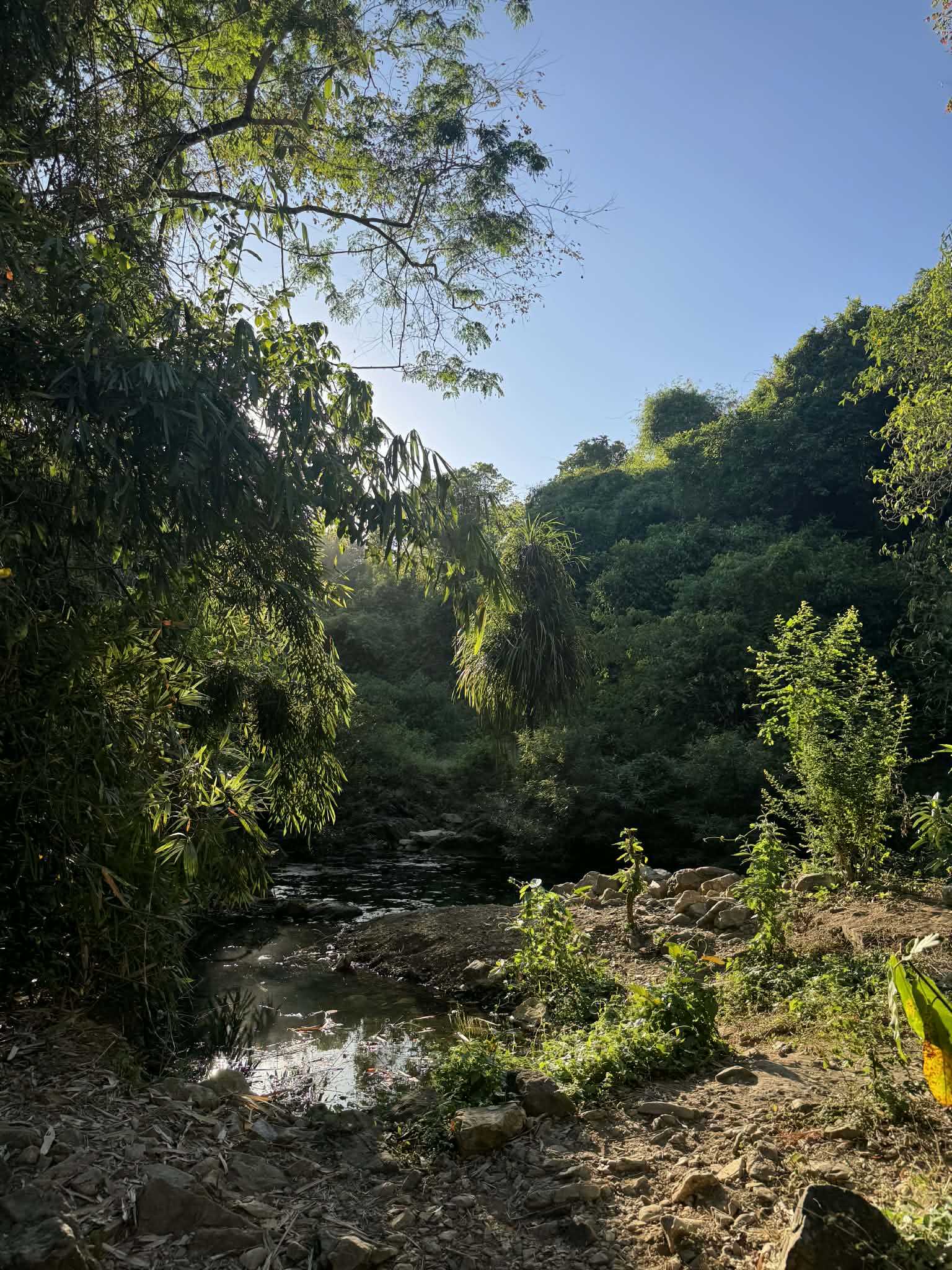 1000166059.jpg