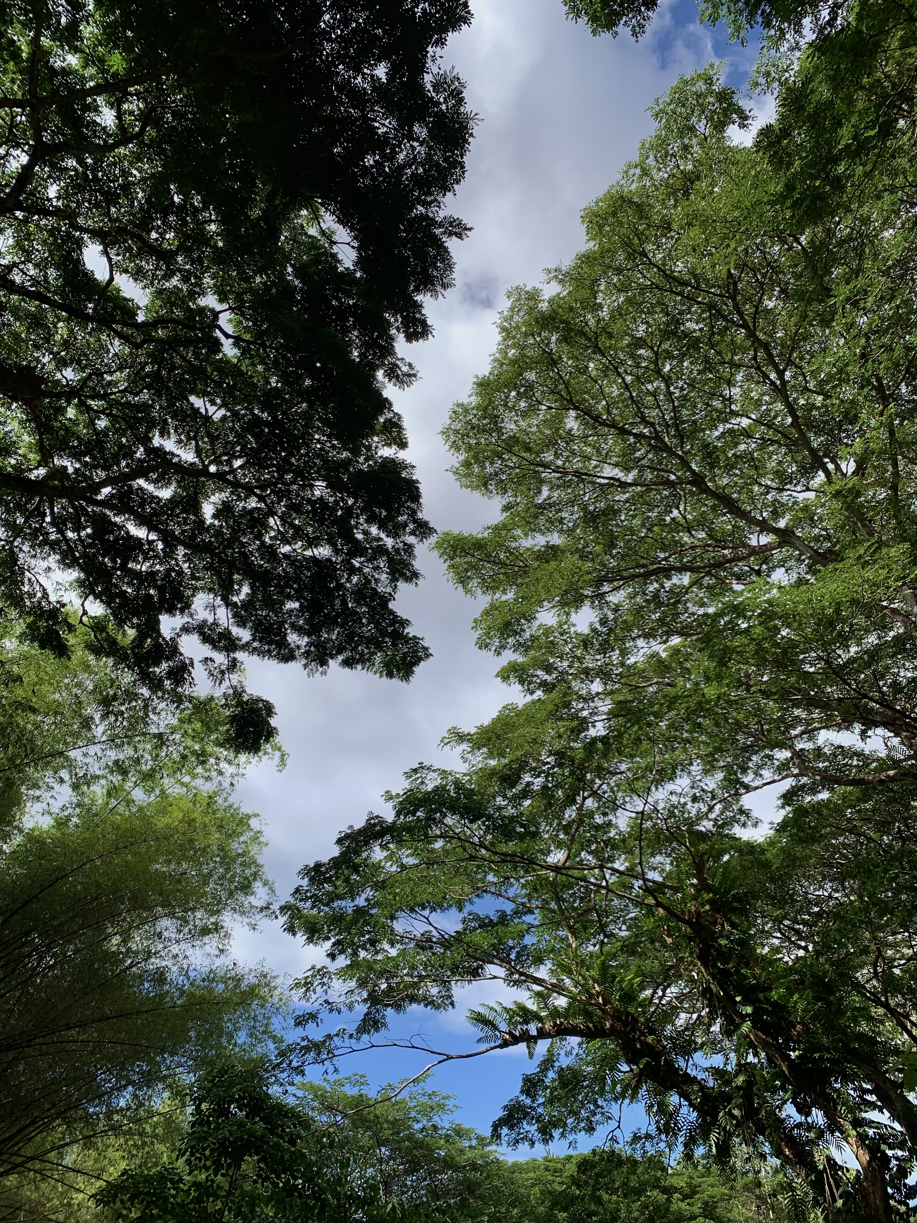 IMG_9493.jpeg