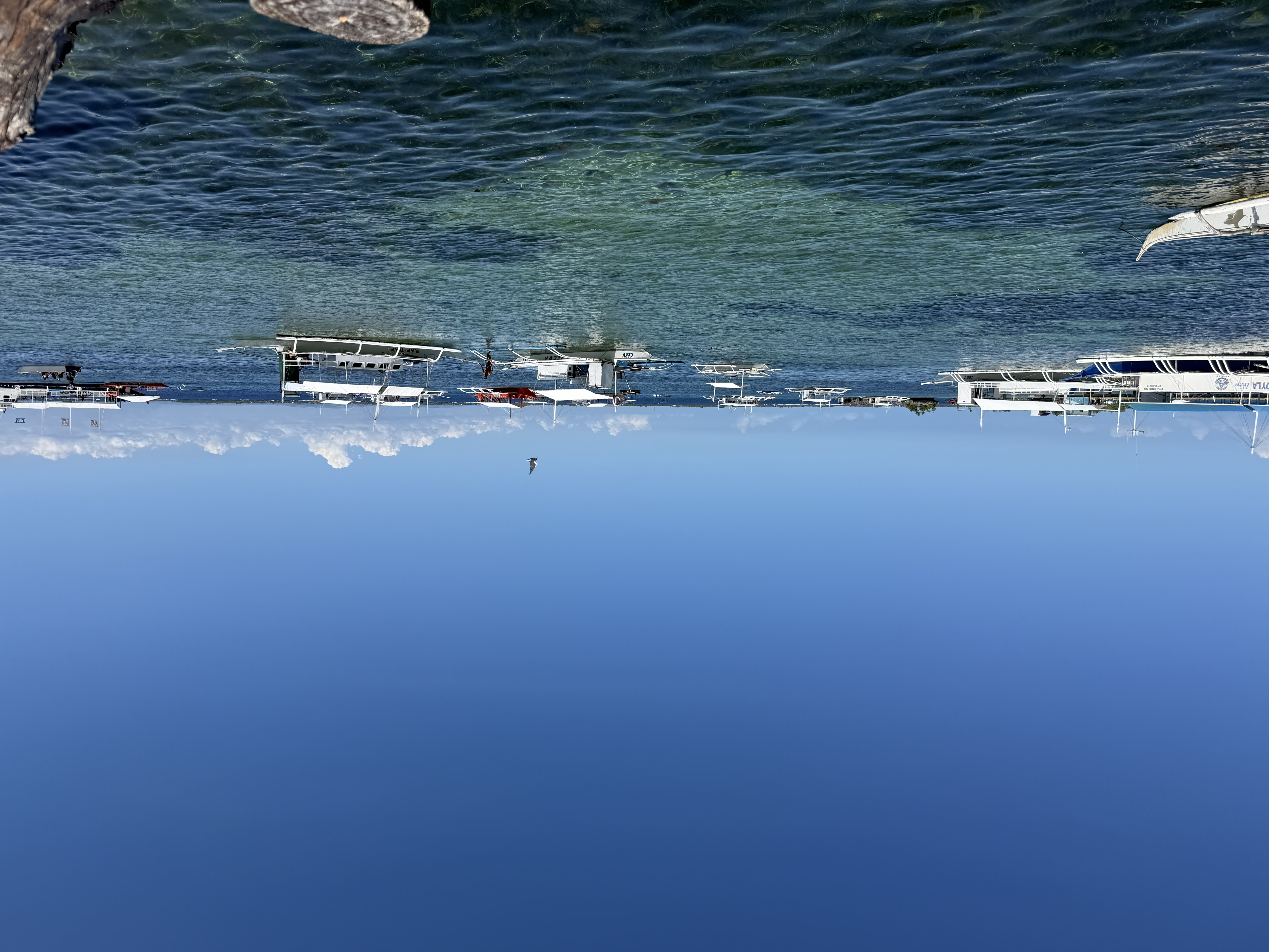 IMG_8170.jpeg