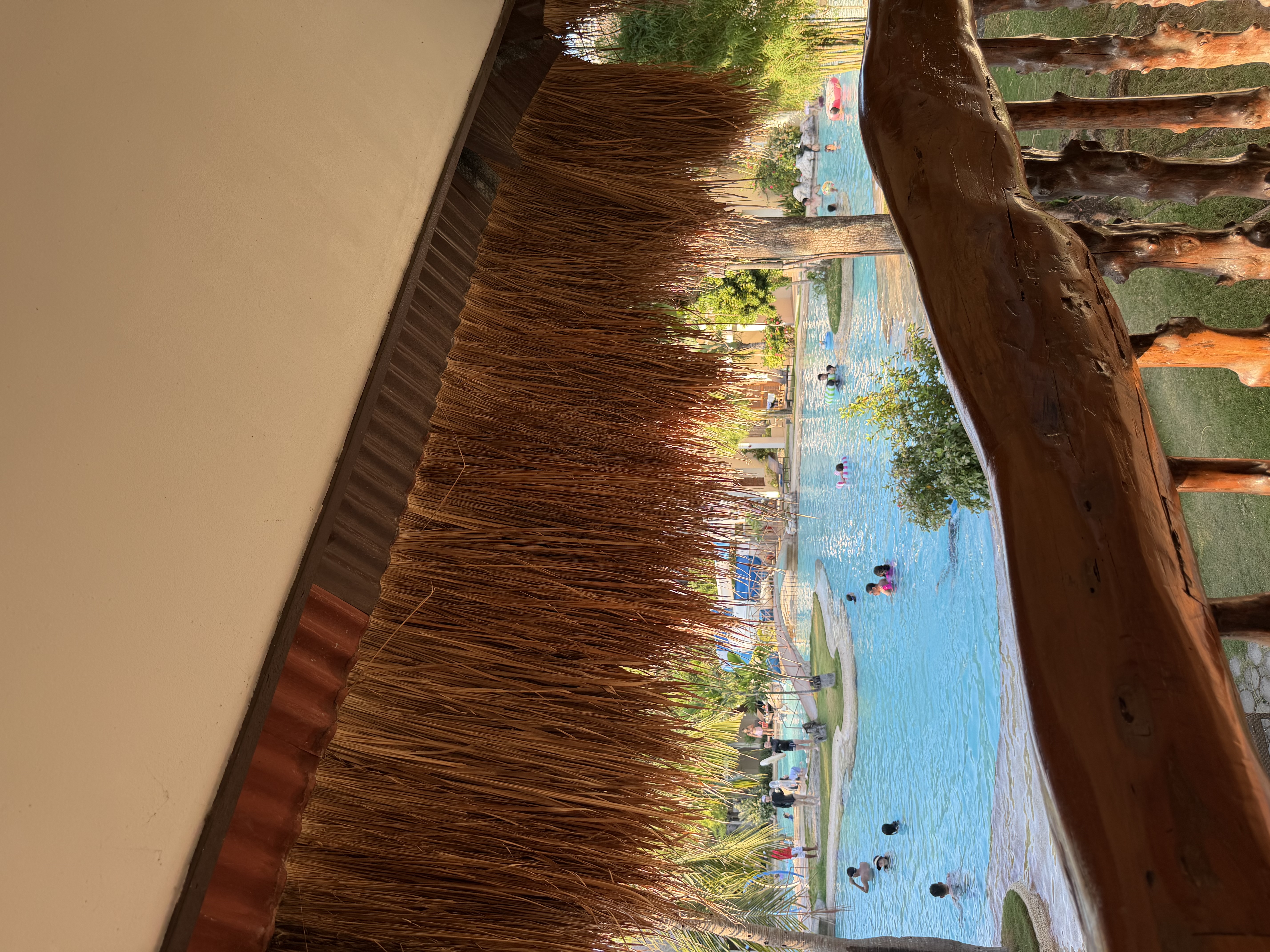 IMG_8227.jpeg