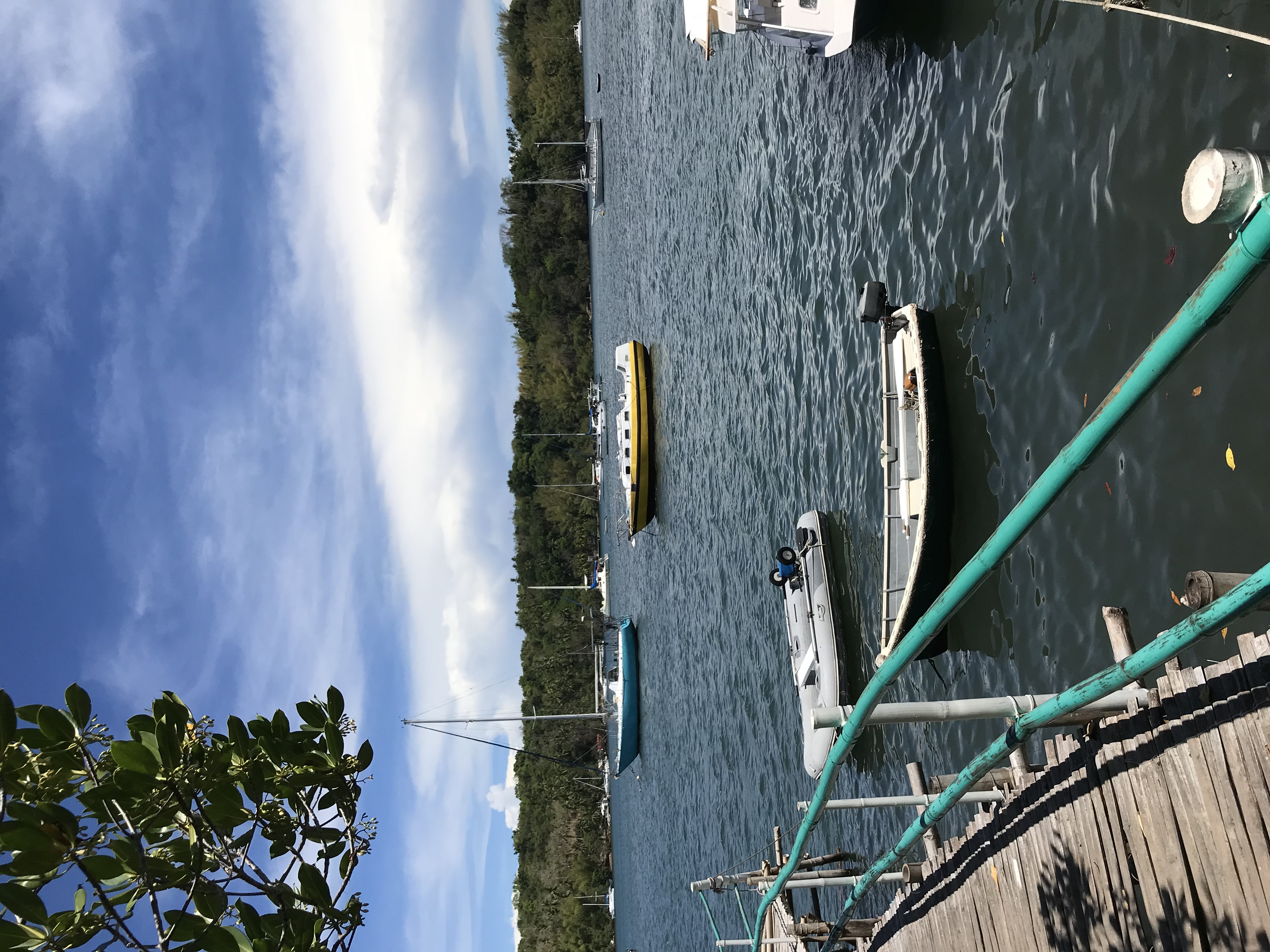 IMG_3428.jpeg