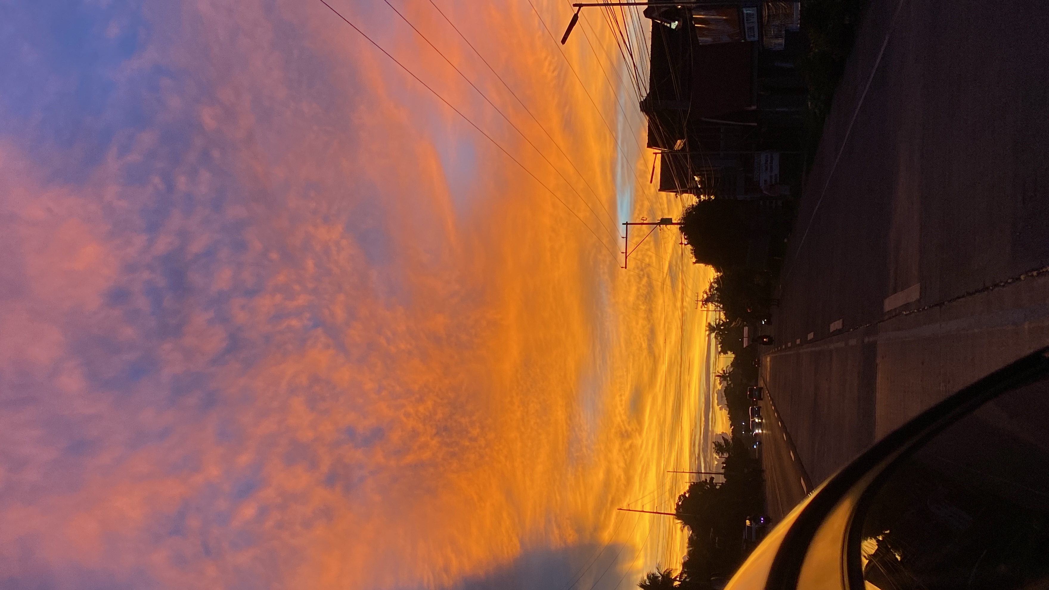 IMG_7208.jpeg