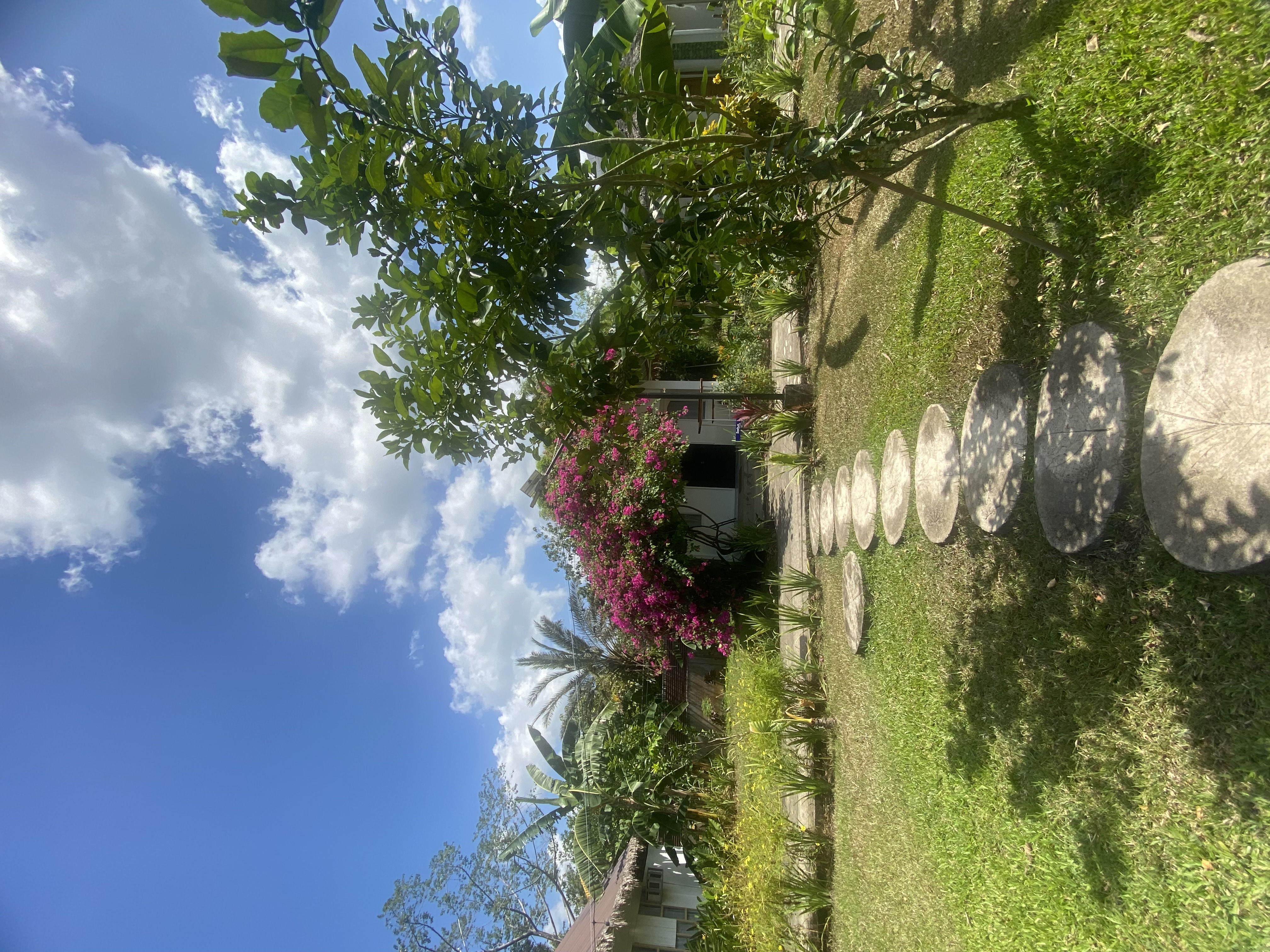 IMG_1574.jpeg
