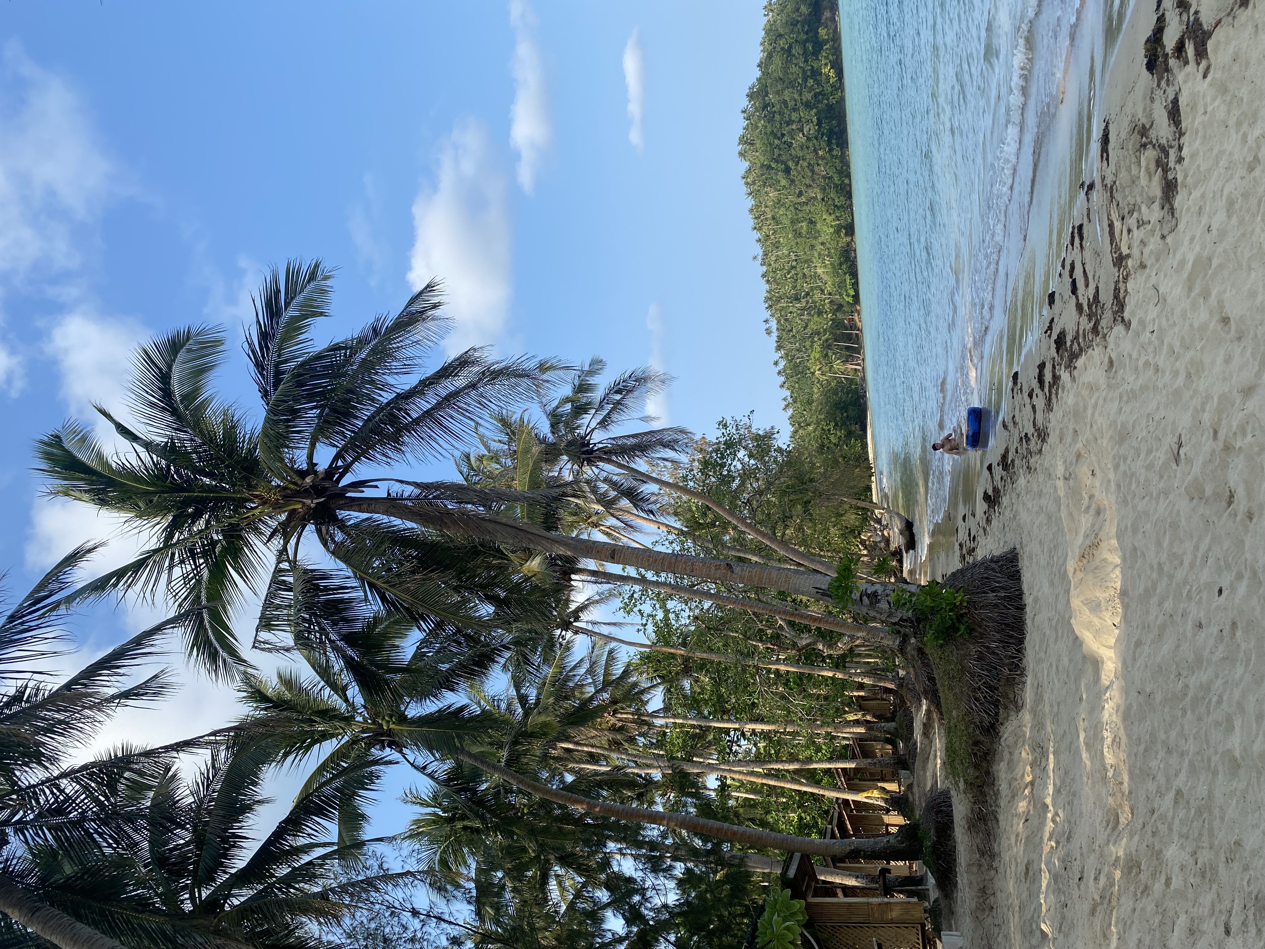 IMG_1389.jpeg